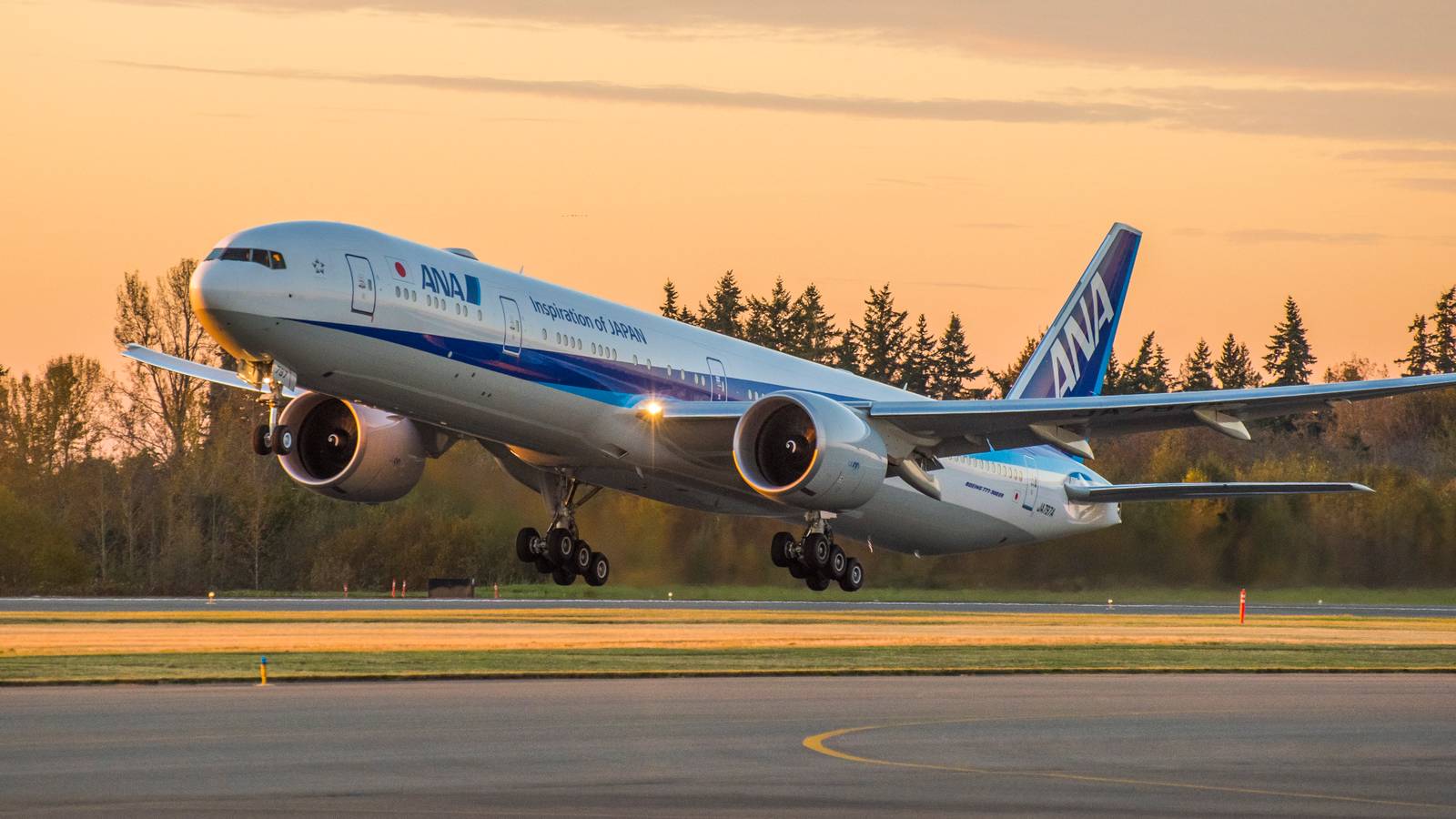 Why ANA Is Scrapping Some Self Check-In Desks