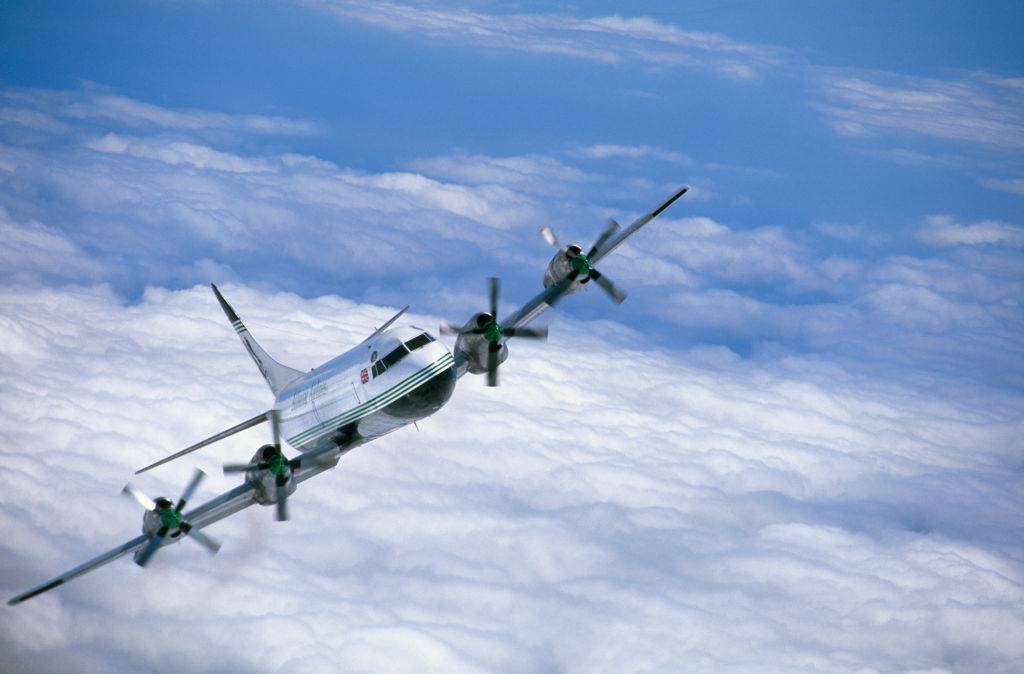 The Incredible Survival Story Of Juliane Koepcke And LANSA Flight 508