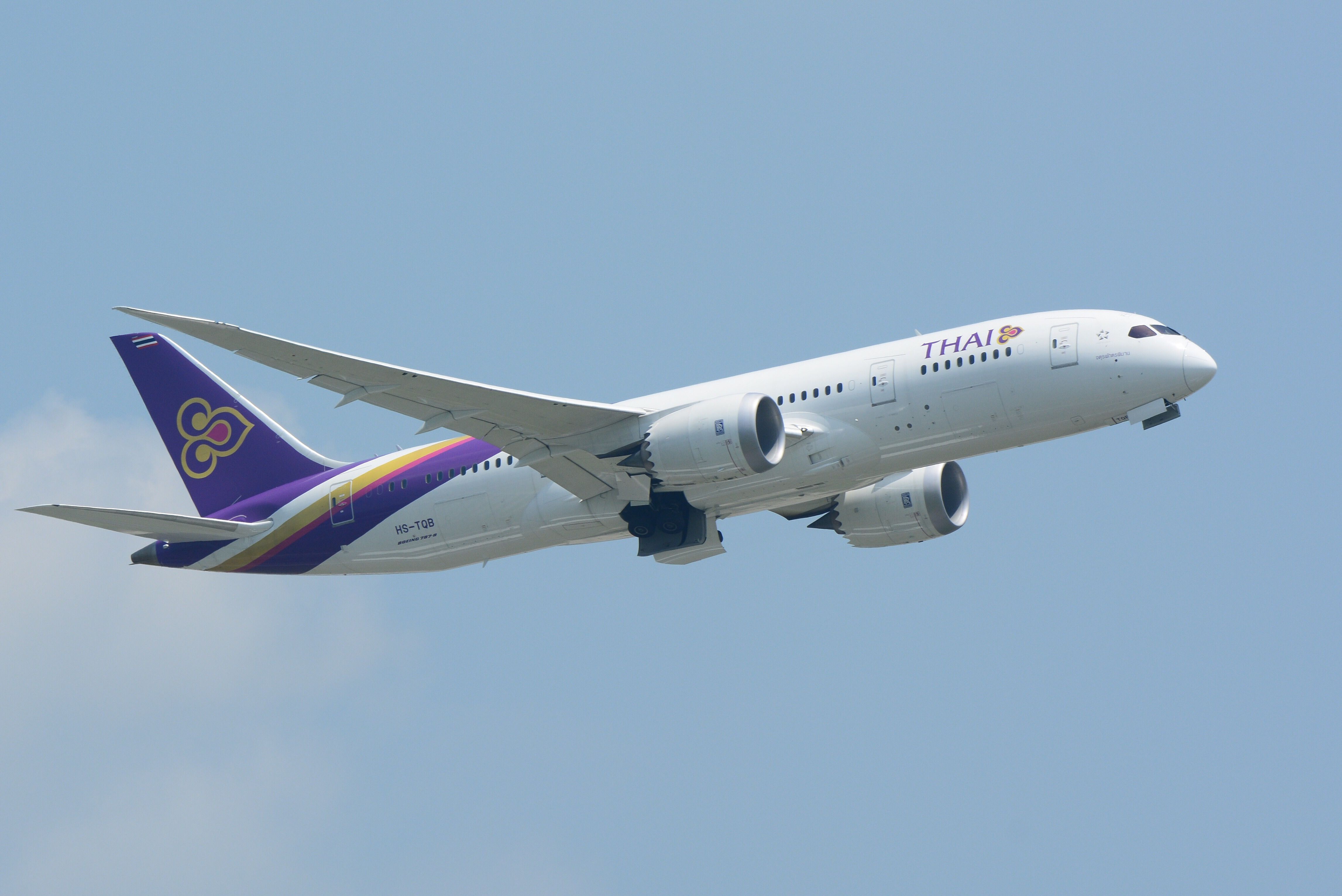Thai Airways Boeing 787 Dreamliner Bursts Tire After Landing In Bengaluru