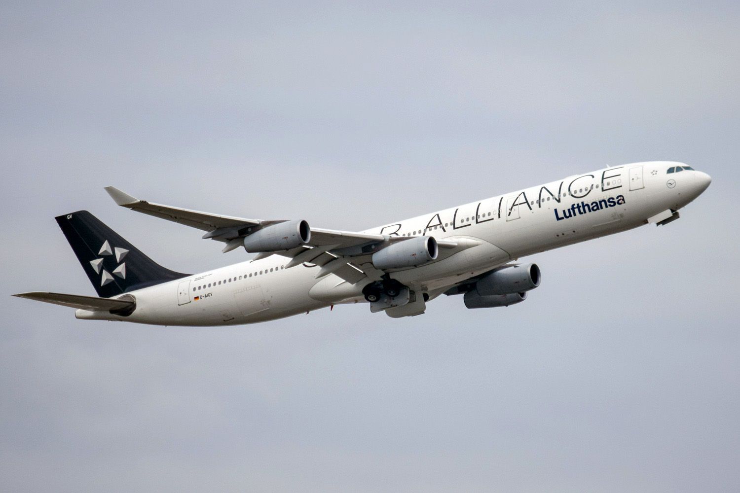 Star Alliance CEO Seeing Huge Spike In Biometric Registrations