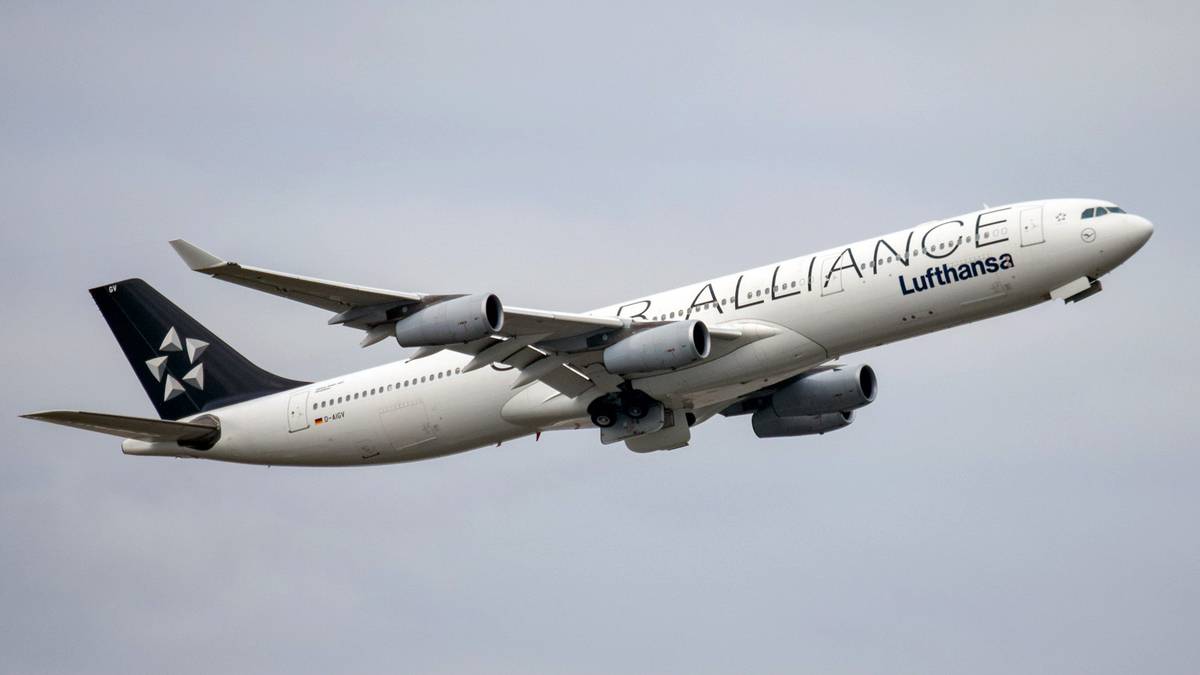 Star Alliance CEO Seeing Huge Spike In Biometric Registrations