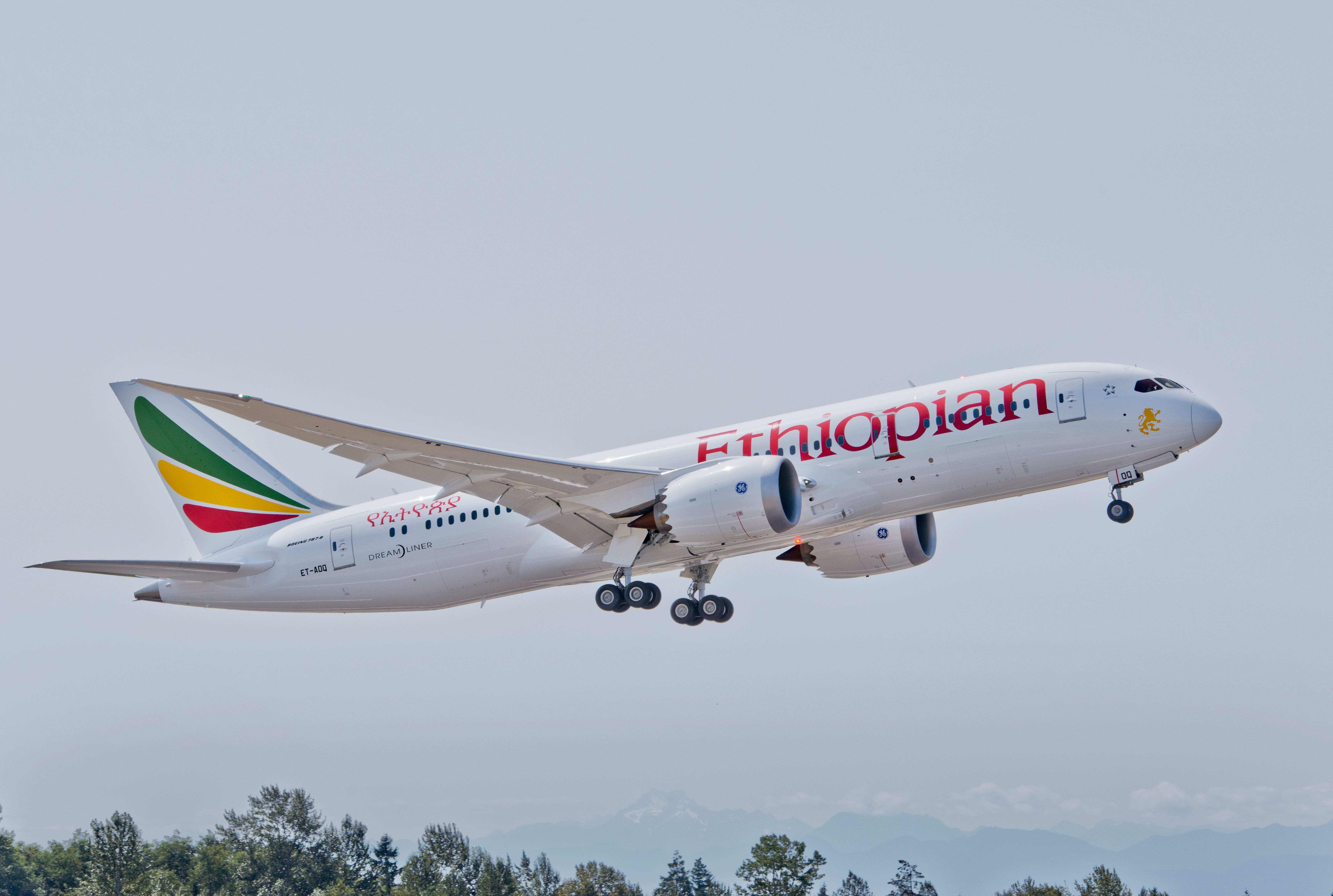 Boeing Sees Huge Potential In Africa For 737 MAX & Dreamliners