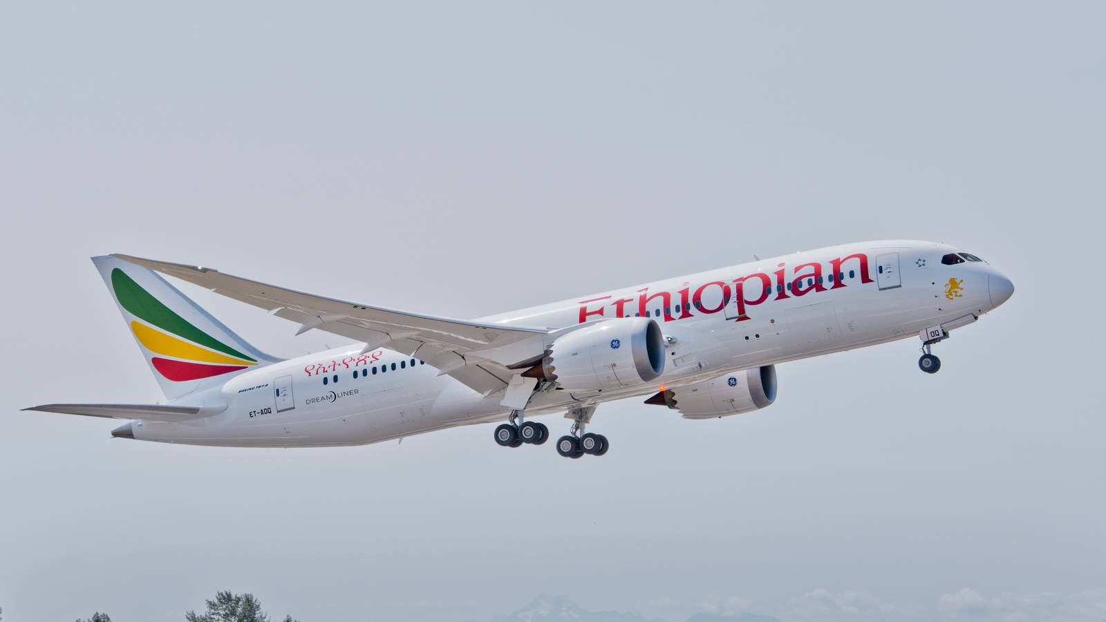 Boeing Sees Huge Potential In Africa For 737 MAX & Dreamliners