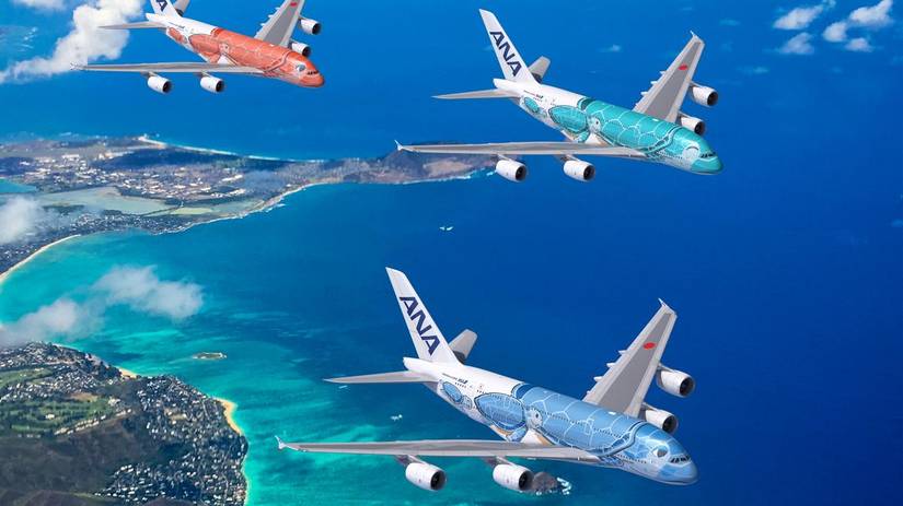 Cute: ANA's Airbus A380s Celebrate World Sea Turtle Day