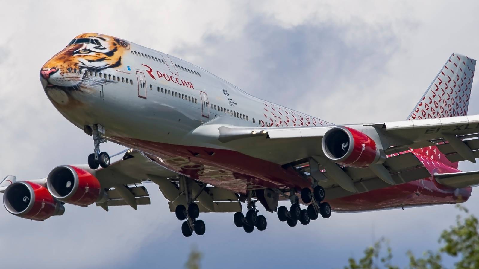 ROSSIYA ロシア航空 B747-400 1/400 Rossiya Boeing 747-400 Tiger Reg: EI-XLD Gemini Jets