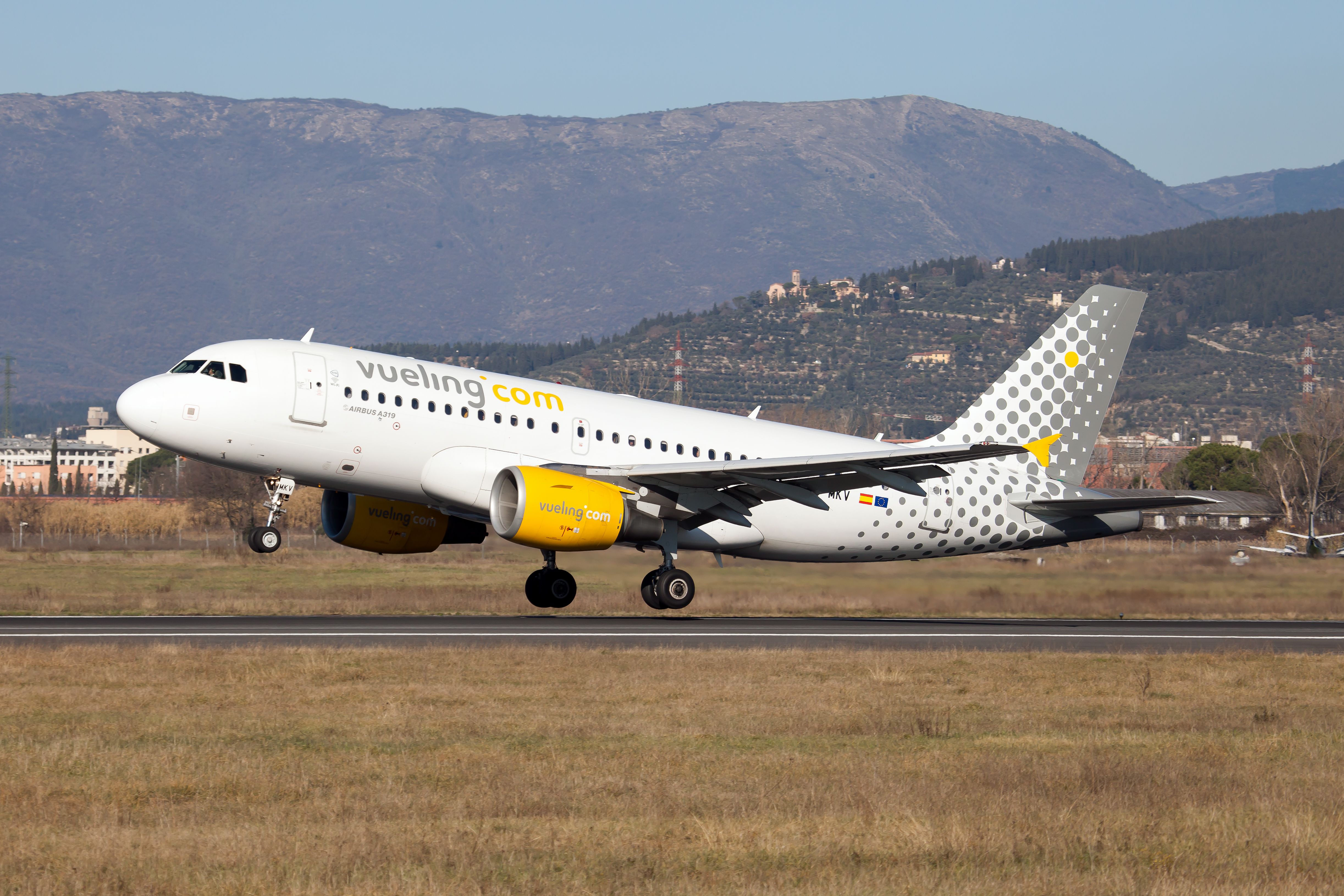 Gatwick Delays Prompt Vueling Flight To Leave With No Passengers