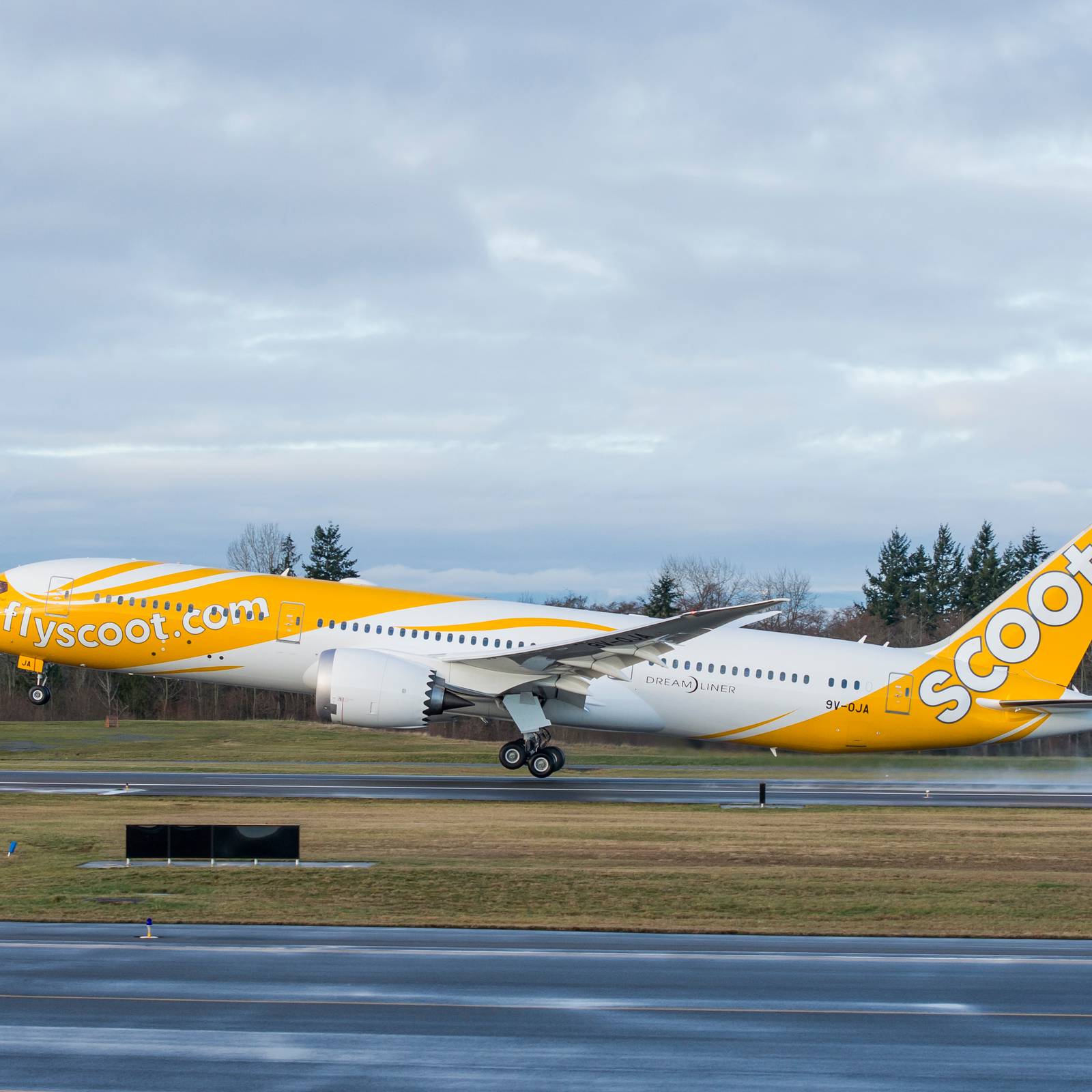 Scoot-787-Take-off.jpeg?w=1600