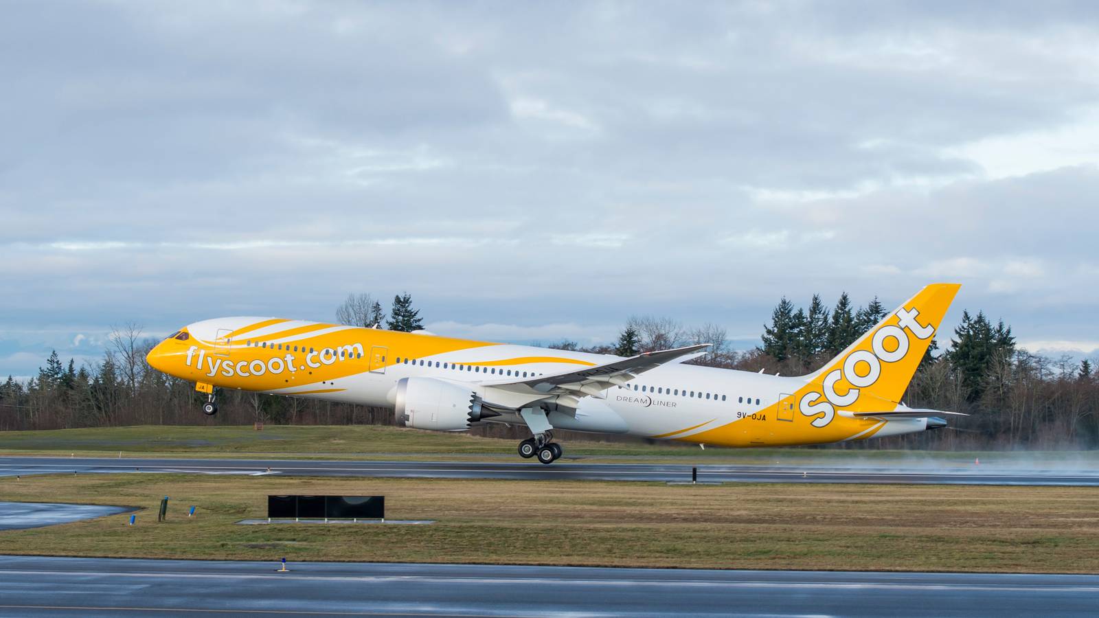 Scoot Resumes Direct Flights To Japan After 2 Year Absence