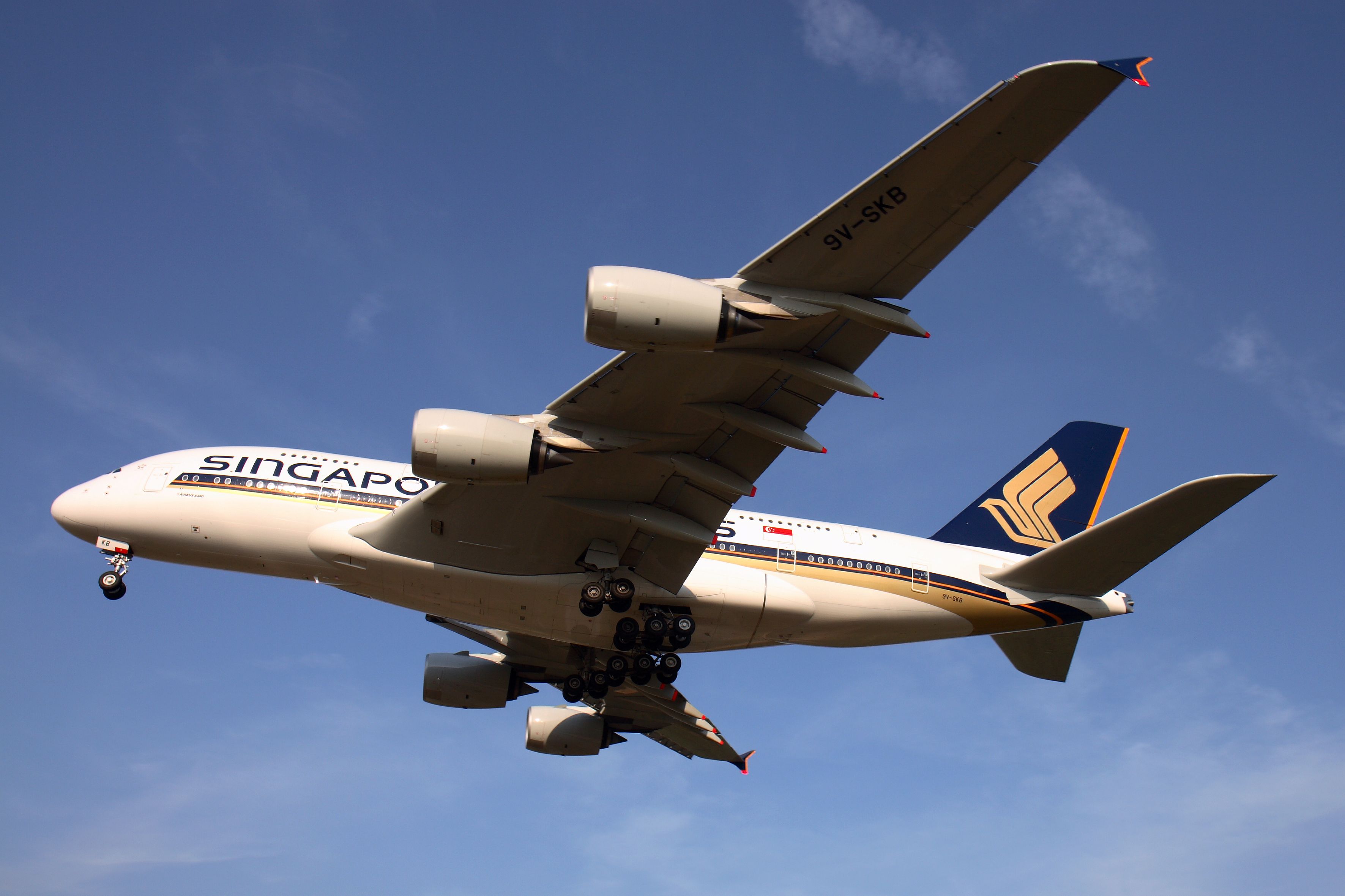 Asian Passenger Aviation Sees "Robust Growth" Despite Cargo Lull