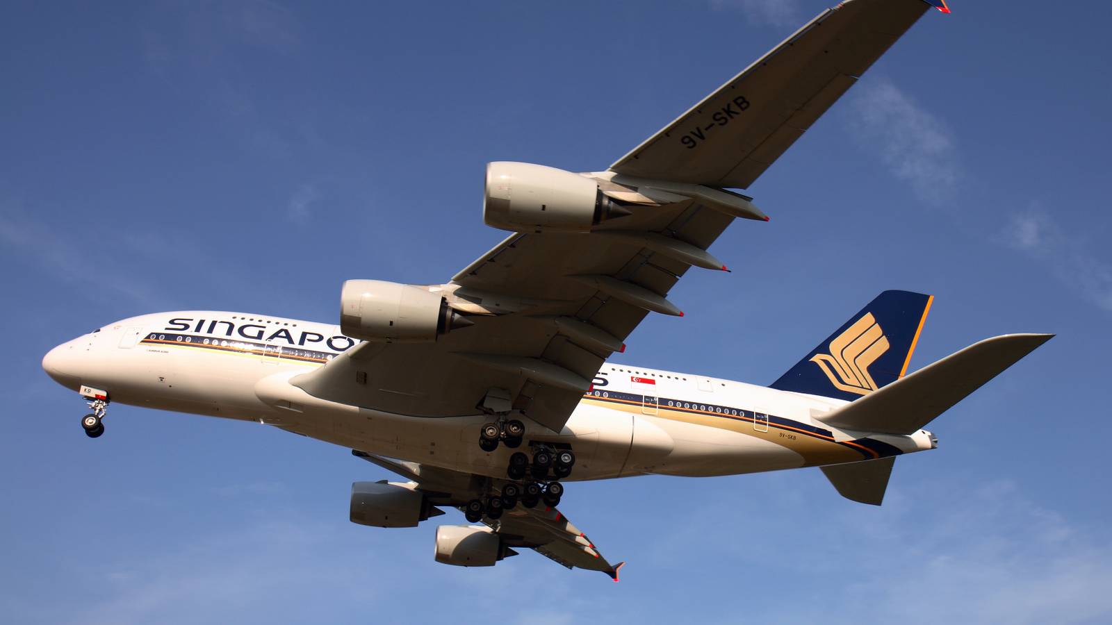 Asian Passenger Aviation Sees "Robust Growth" Despite Cargo Lull