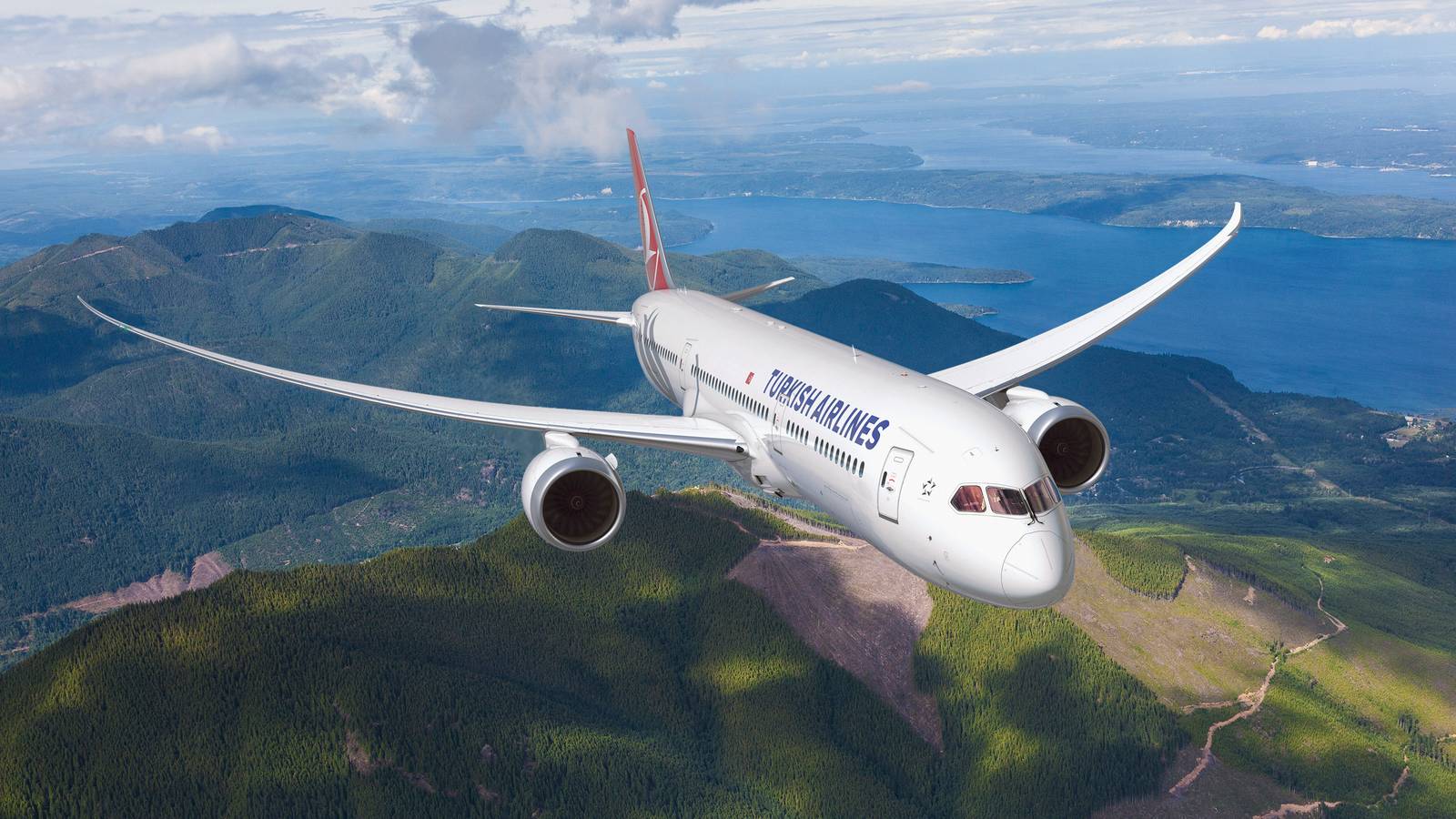 Turkish Airlines & IndiGo Resume Codeshare Agreement