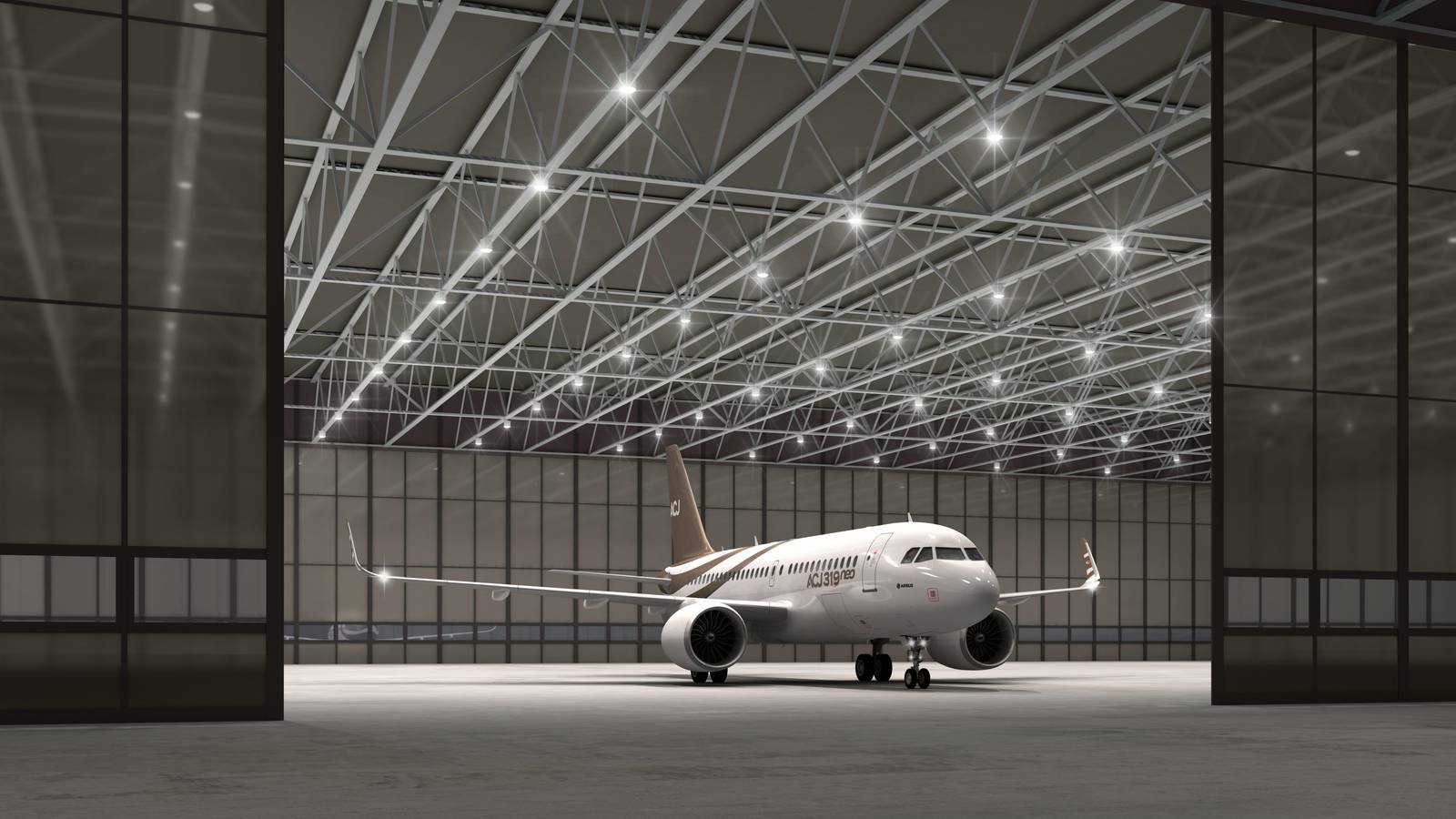 Luxury Narrowbody: Airbus Corporate Jets Delivers Latest A319neo To Unidentified Customer