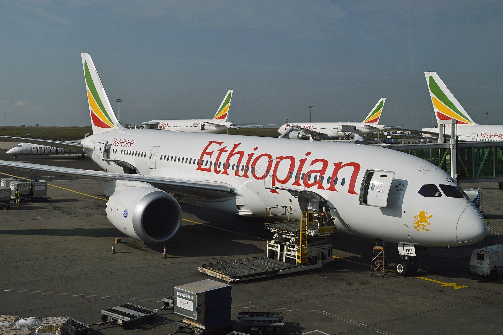 African Nations Sign Aviation Development Agreements With Russia