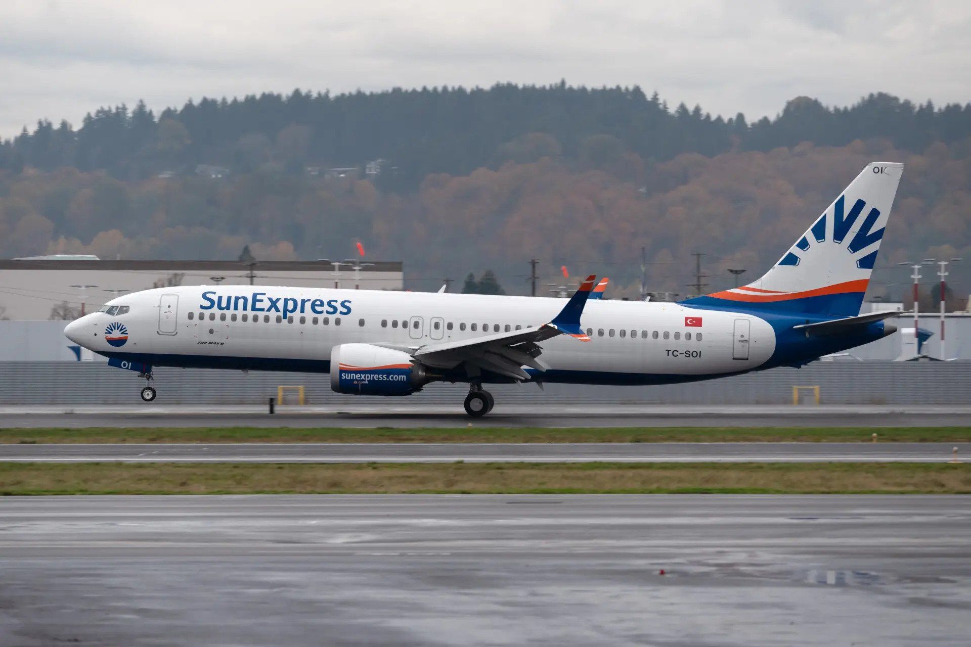 Snake Head Found In SunExpress Flight Meal
