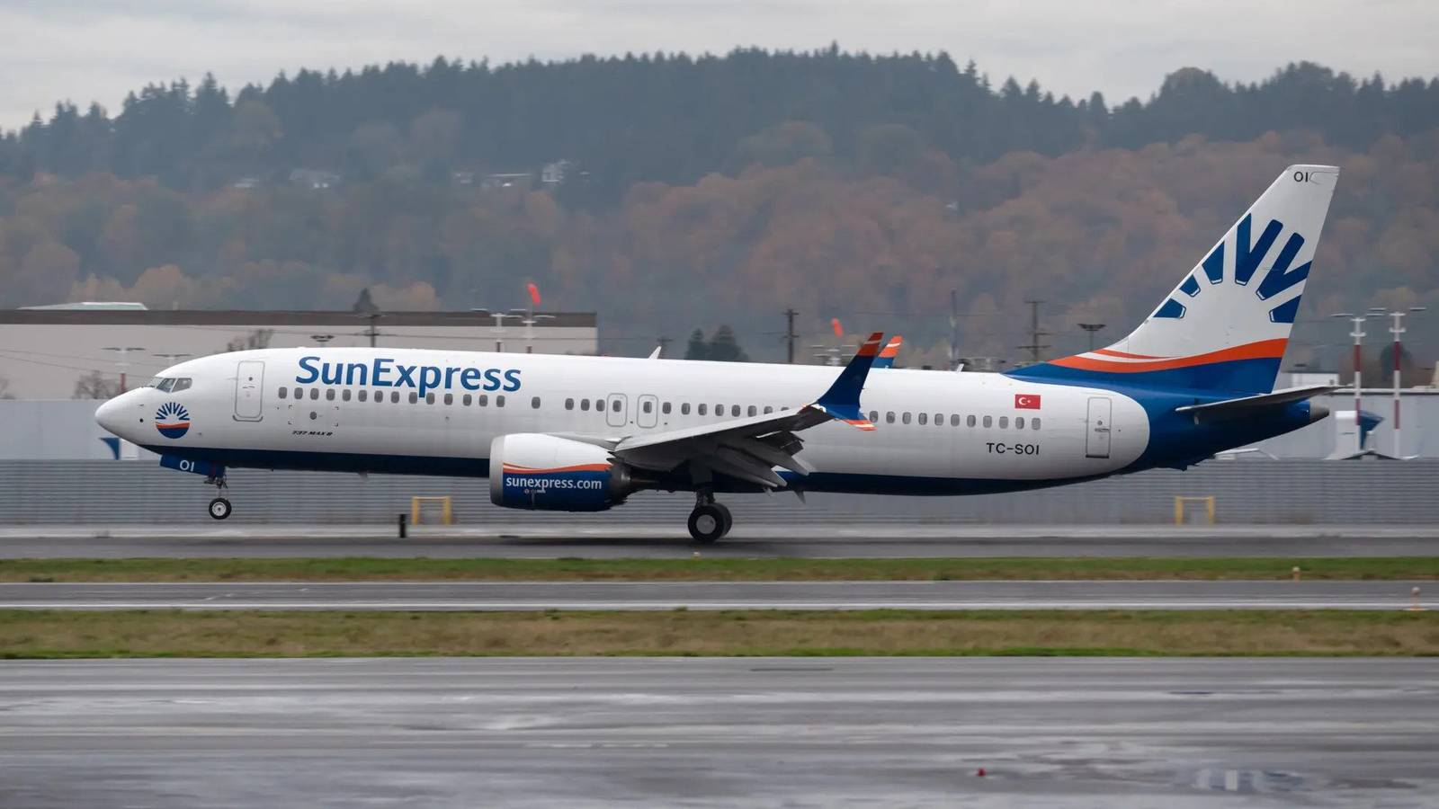 Snake Head Found In SunExpress Flight Meal