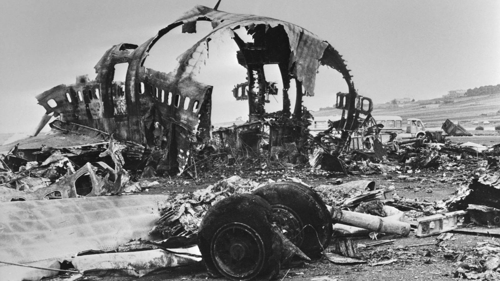 The Tenerife Disaster: A Cabin Crew Perspective
