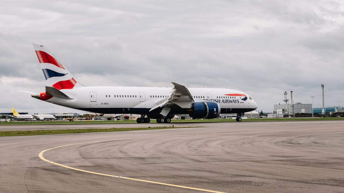 British Airways Flies Racing Pigeon Home After 4,000 Mile Transatlantic Detour