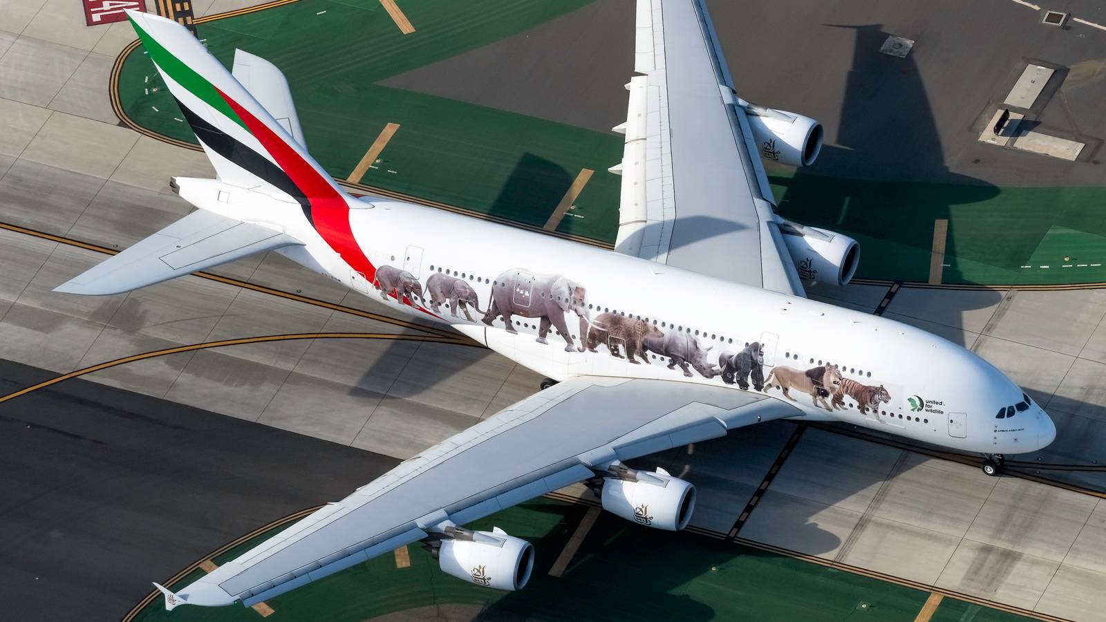 The Most Notable Airline Charity Initiatives