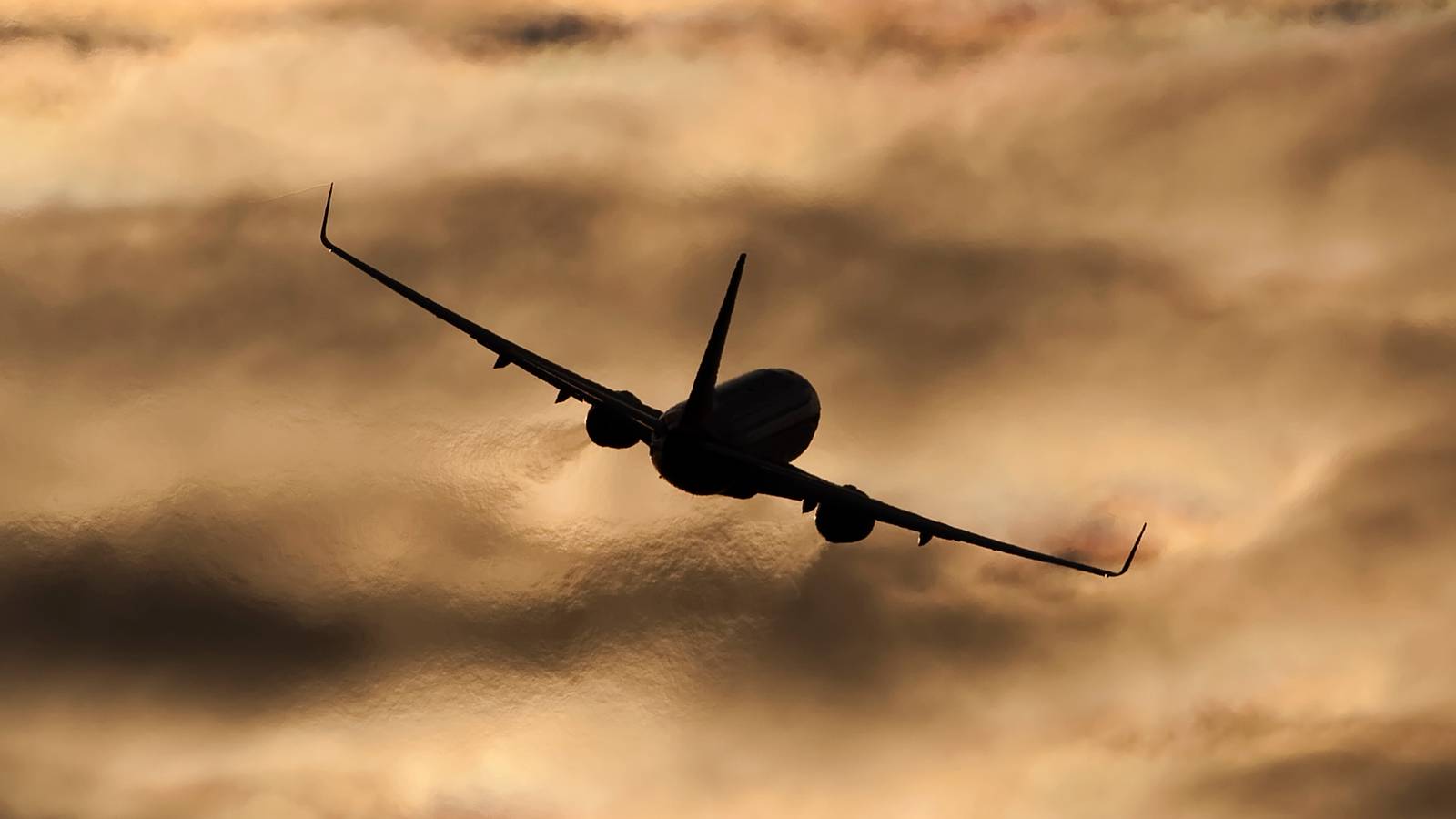 Vietnam's 1st Freight Carrier IPP Air Cargo Scraps Launch Plans
