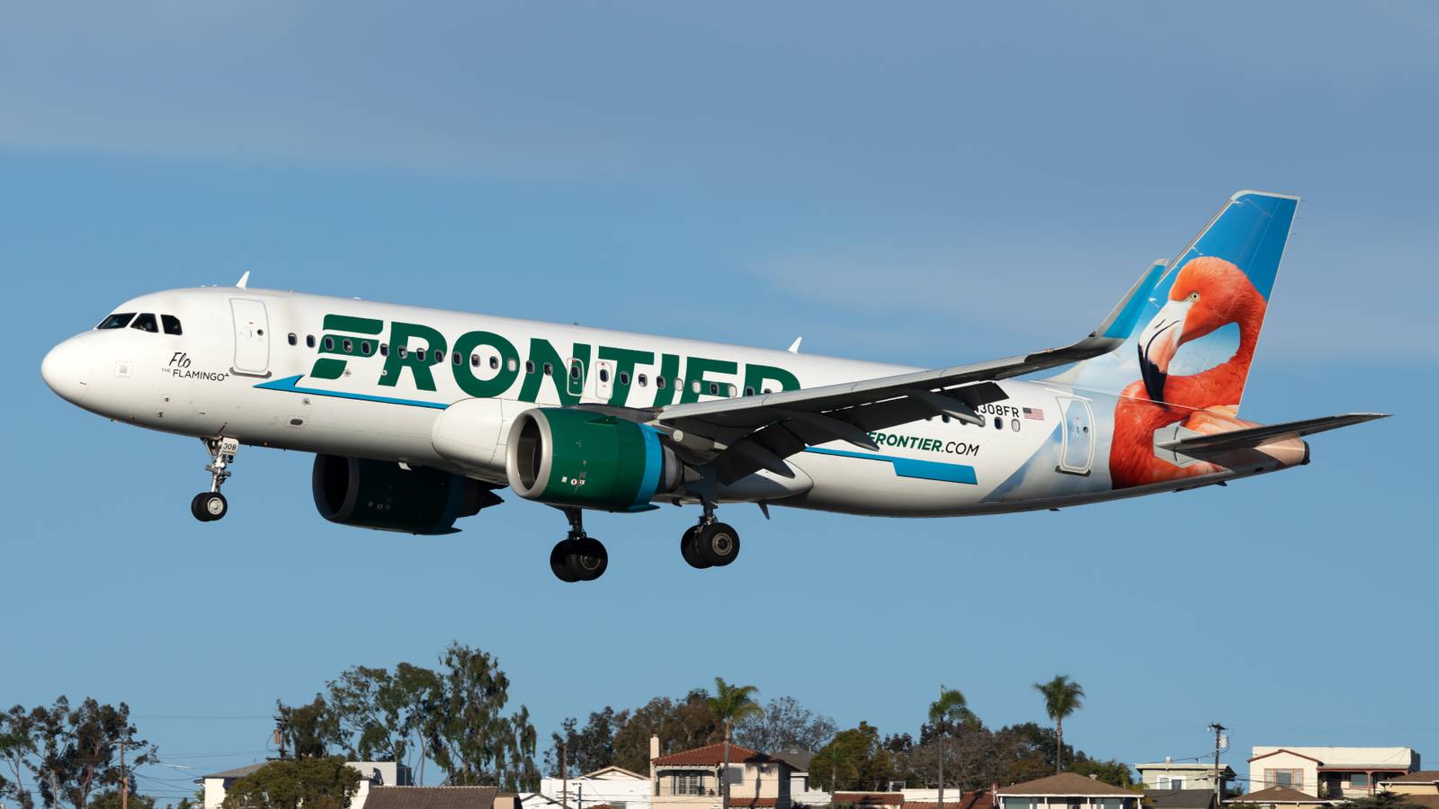 Hummingbird: Jamaica’s National Bird Will Soon Be On A Frontier Airlines Plane Tail