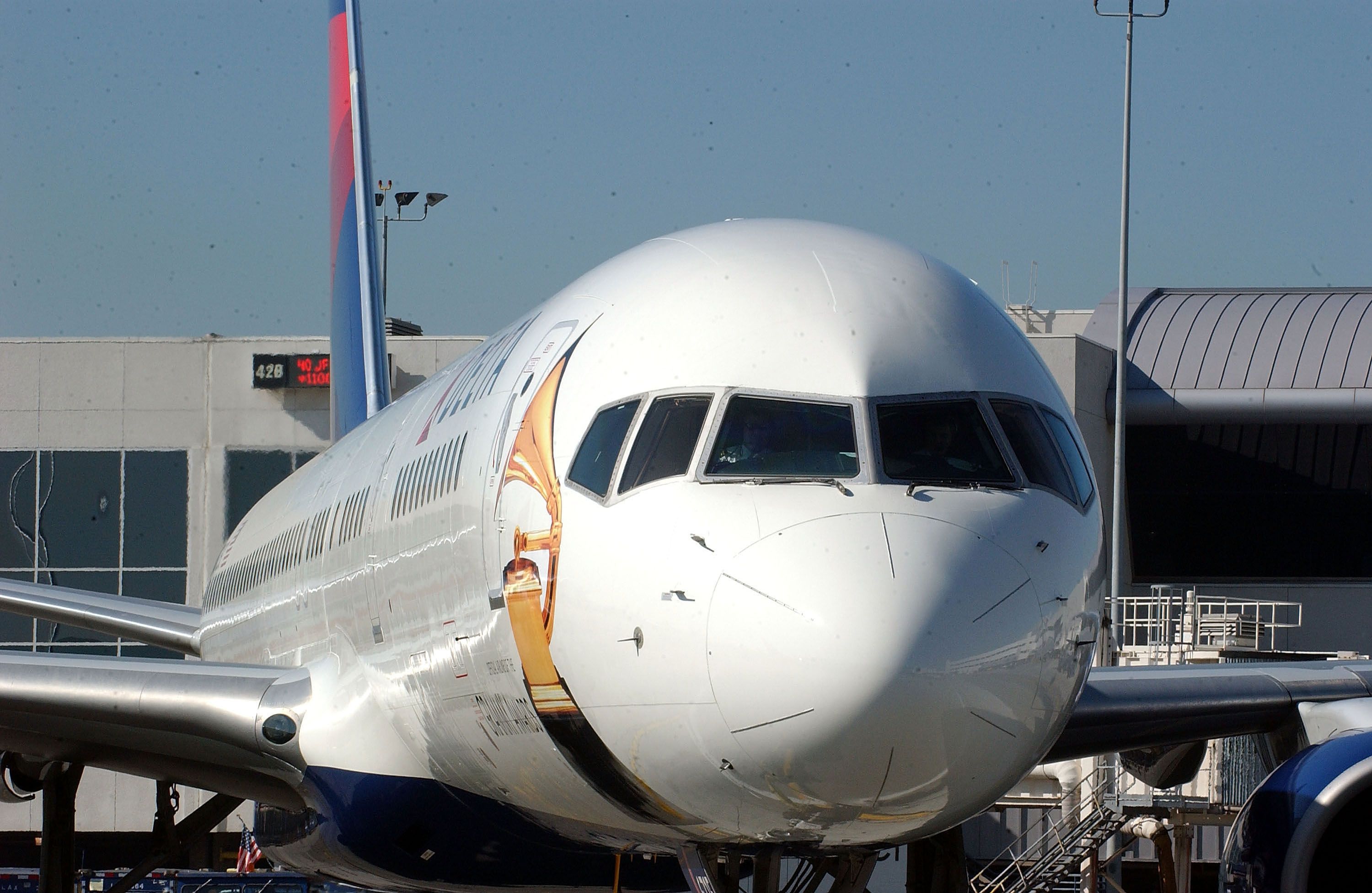 What Special Liveries Has Delta Air Lines Painted Its Aircraft In?