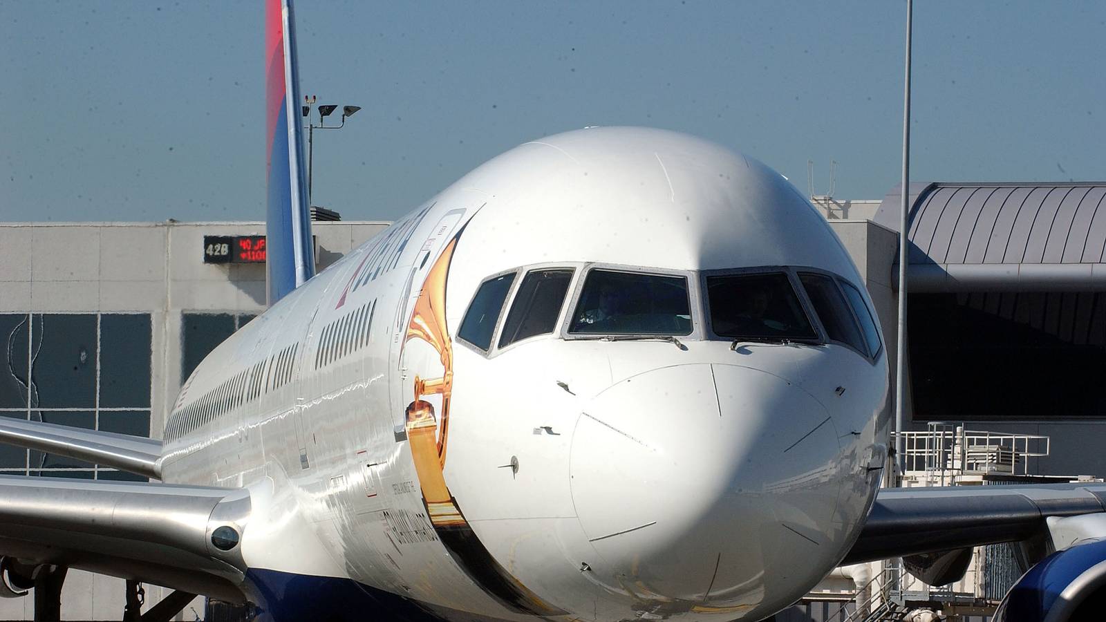 What Special Liveries Has Delta Air Lines Painted Its Aircraft In?