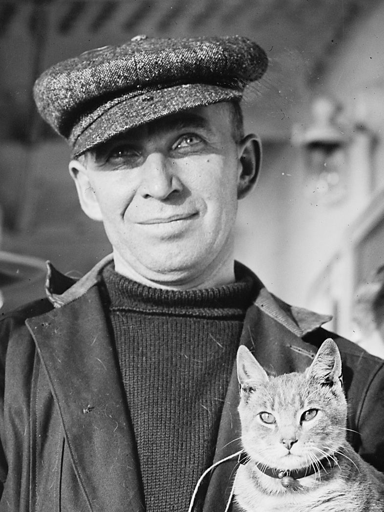 How A Cat Named Kiddo Became The First Feline To Cross The Atlantic By Air