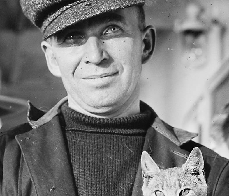 How A Cat Named Kiddo Became The First Feline To Cross The Atlantic By Air