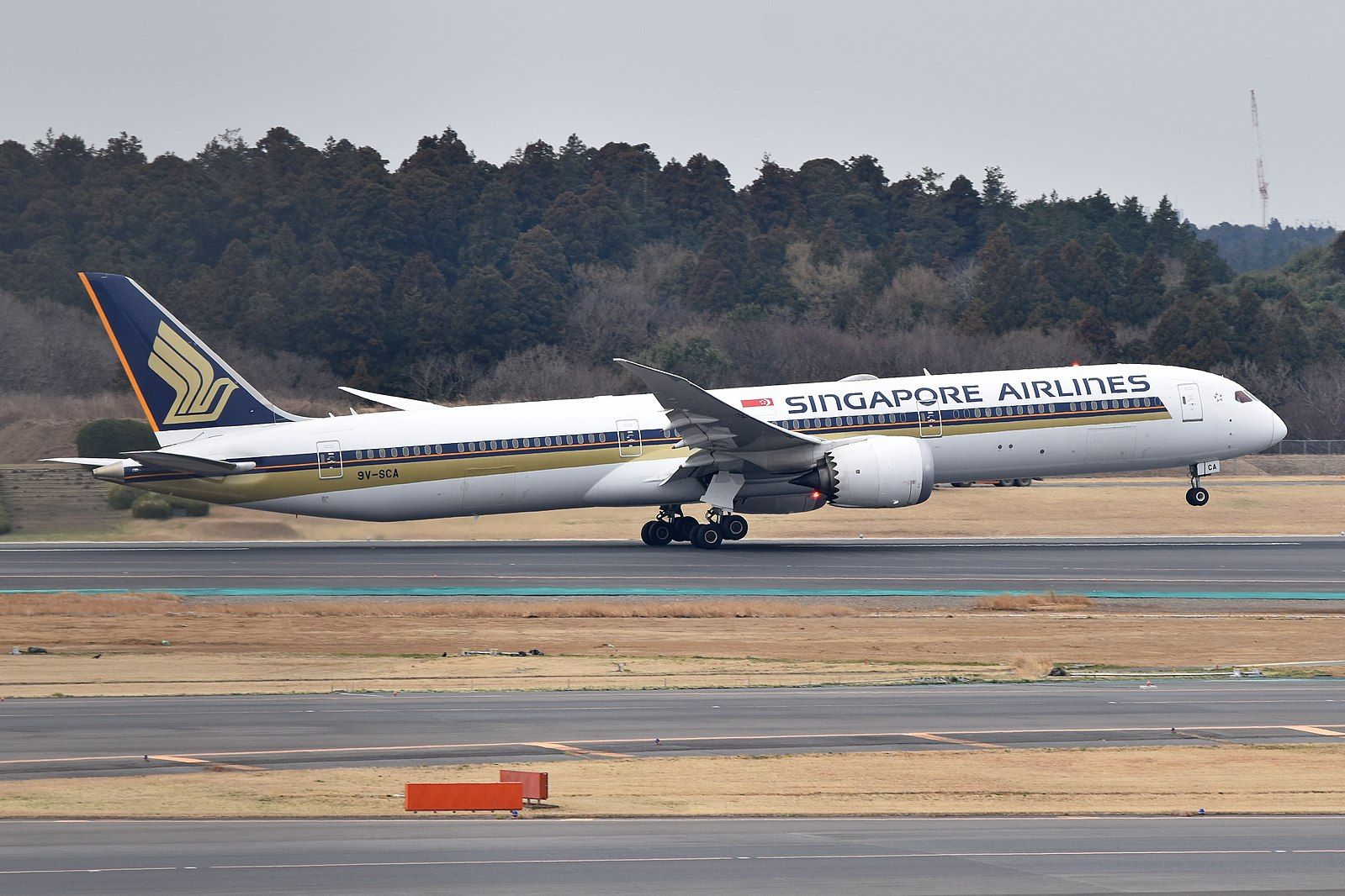 SINGAPORE AIRLINES 787-10 シンガポール航空 ph SIA Fleet: Boeing 787-10 - Mainly Miles