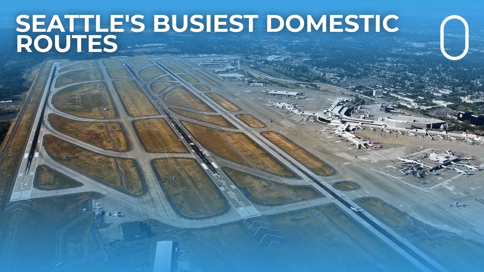 What Are Seattle-Tacoma International Airport's Busiest Domestic Routes?