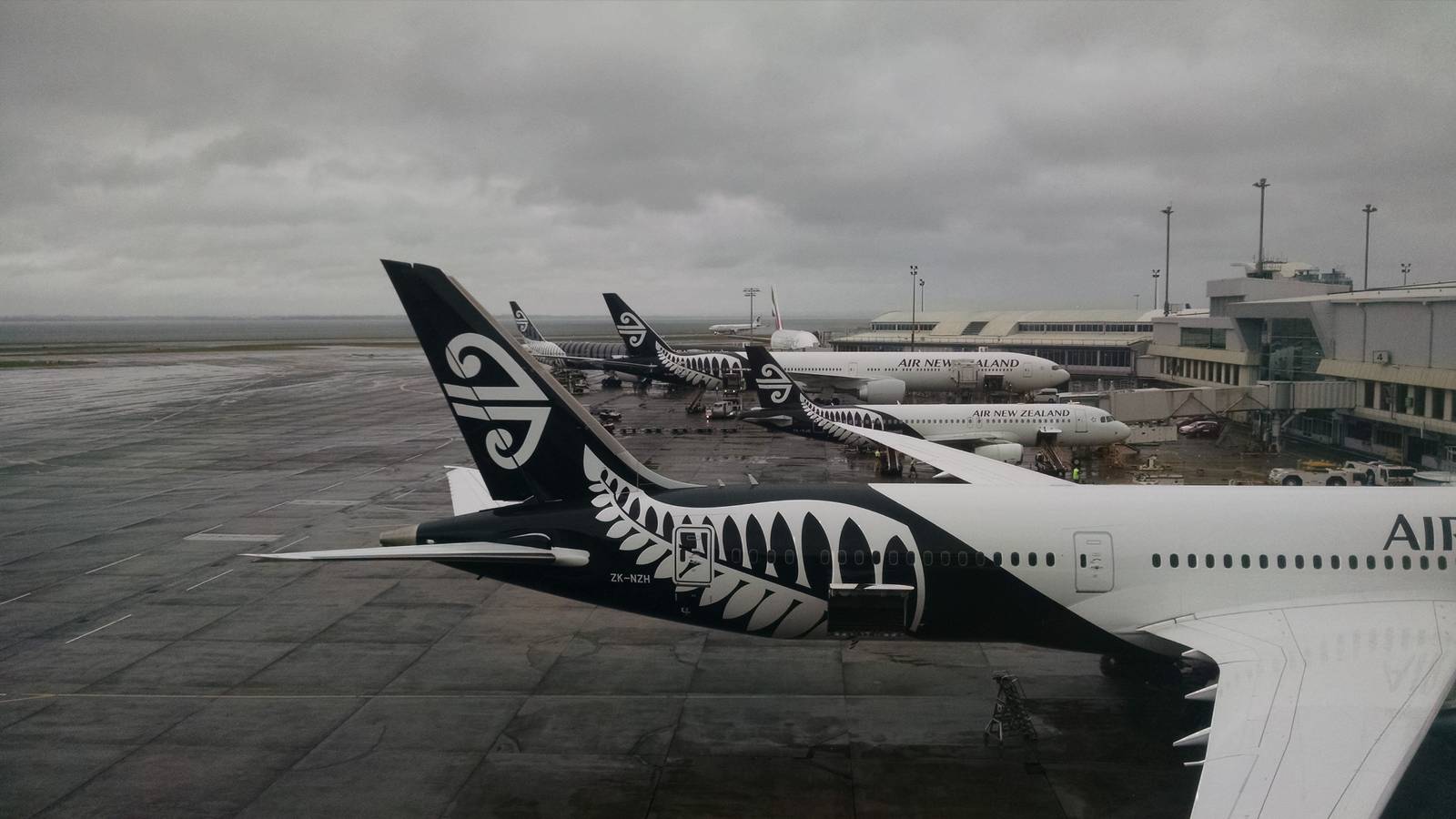 New Zealand To Replace Paper Passenger Arrival Cards With Online System