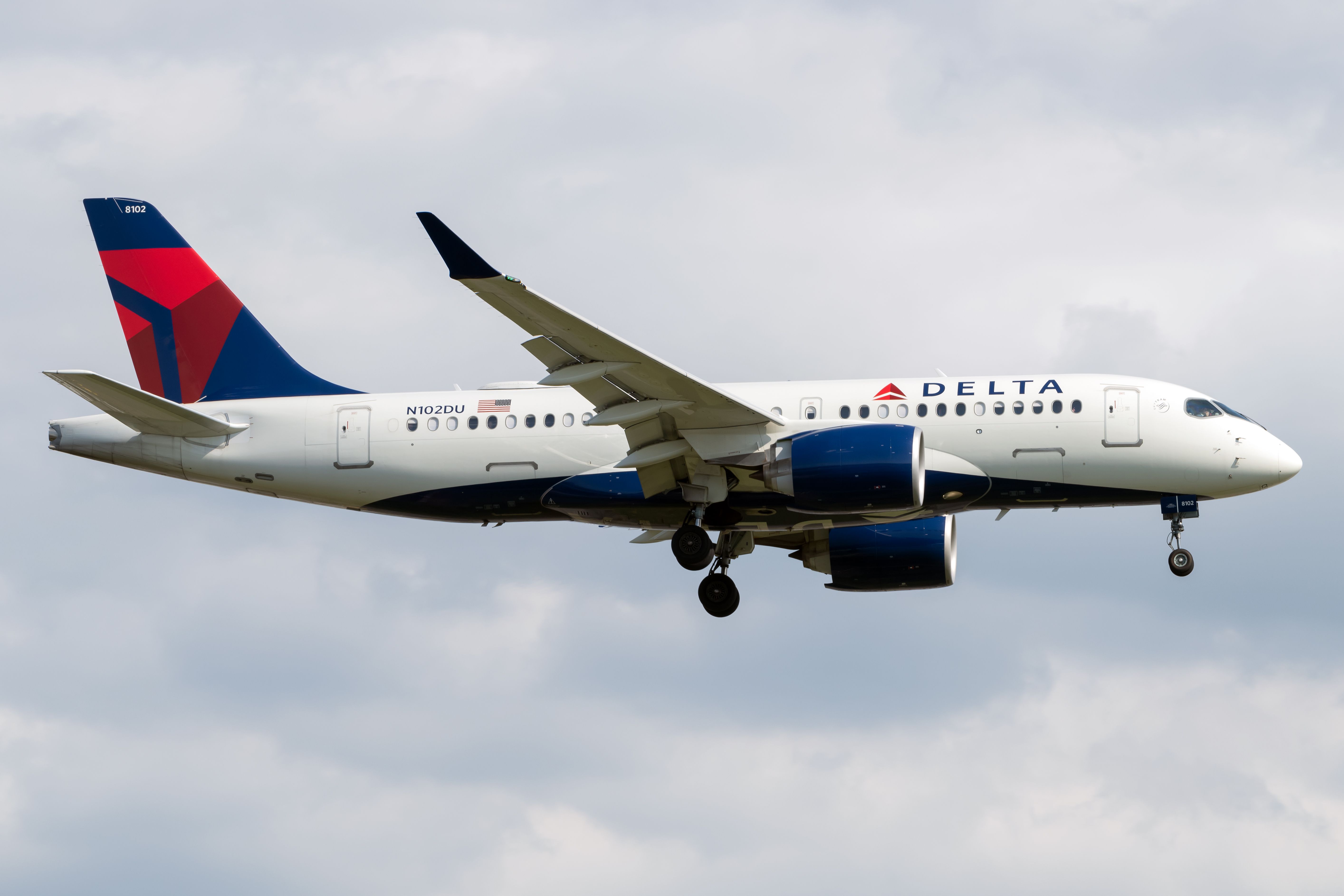 Letting The Cat Out The Bag: JFK TSA Discover Stowaway