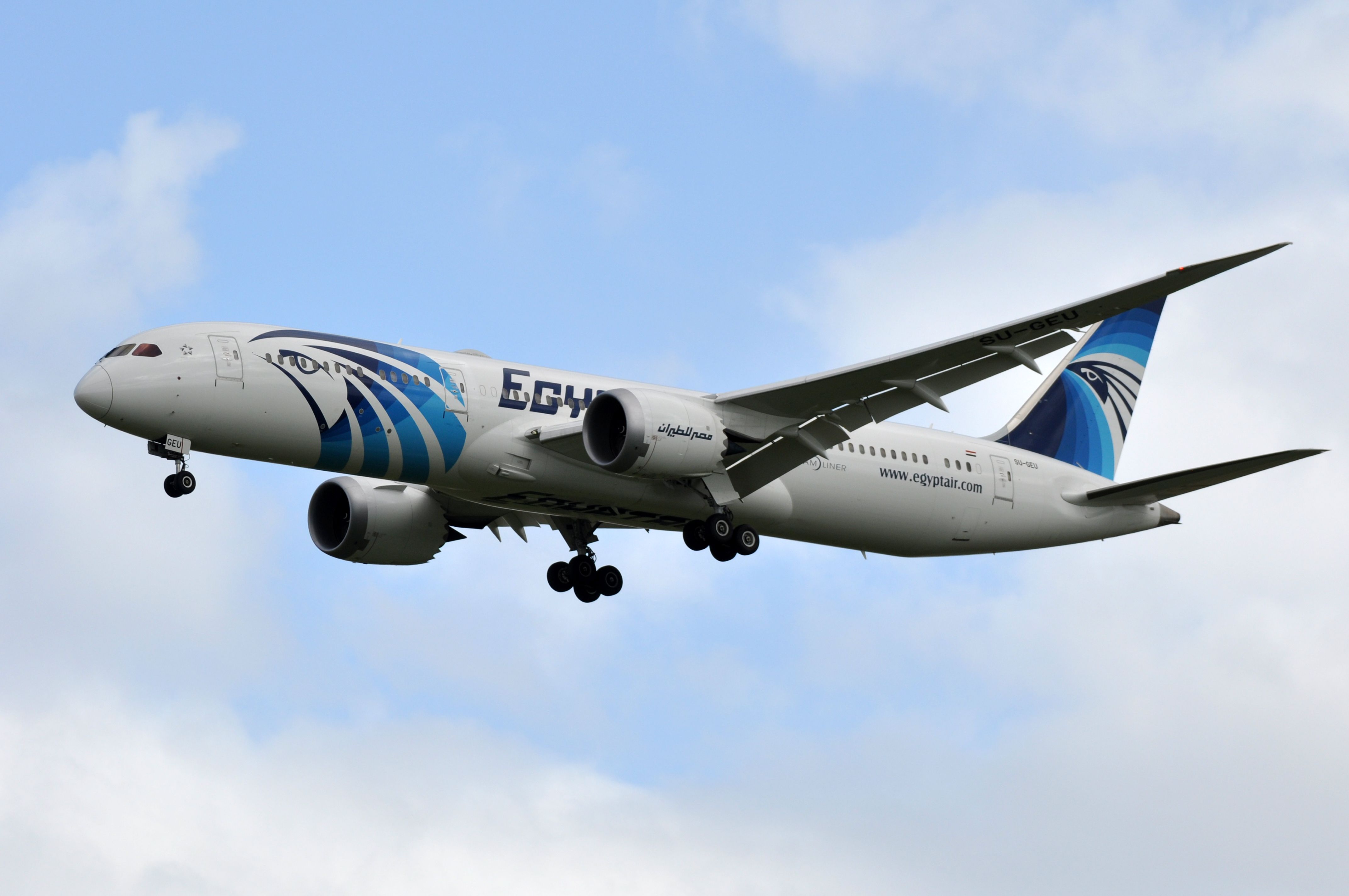 EgyptAir Completes First Flight With SAF