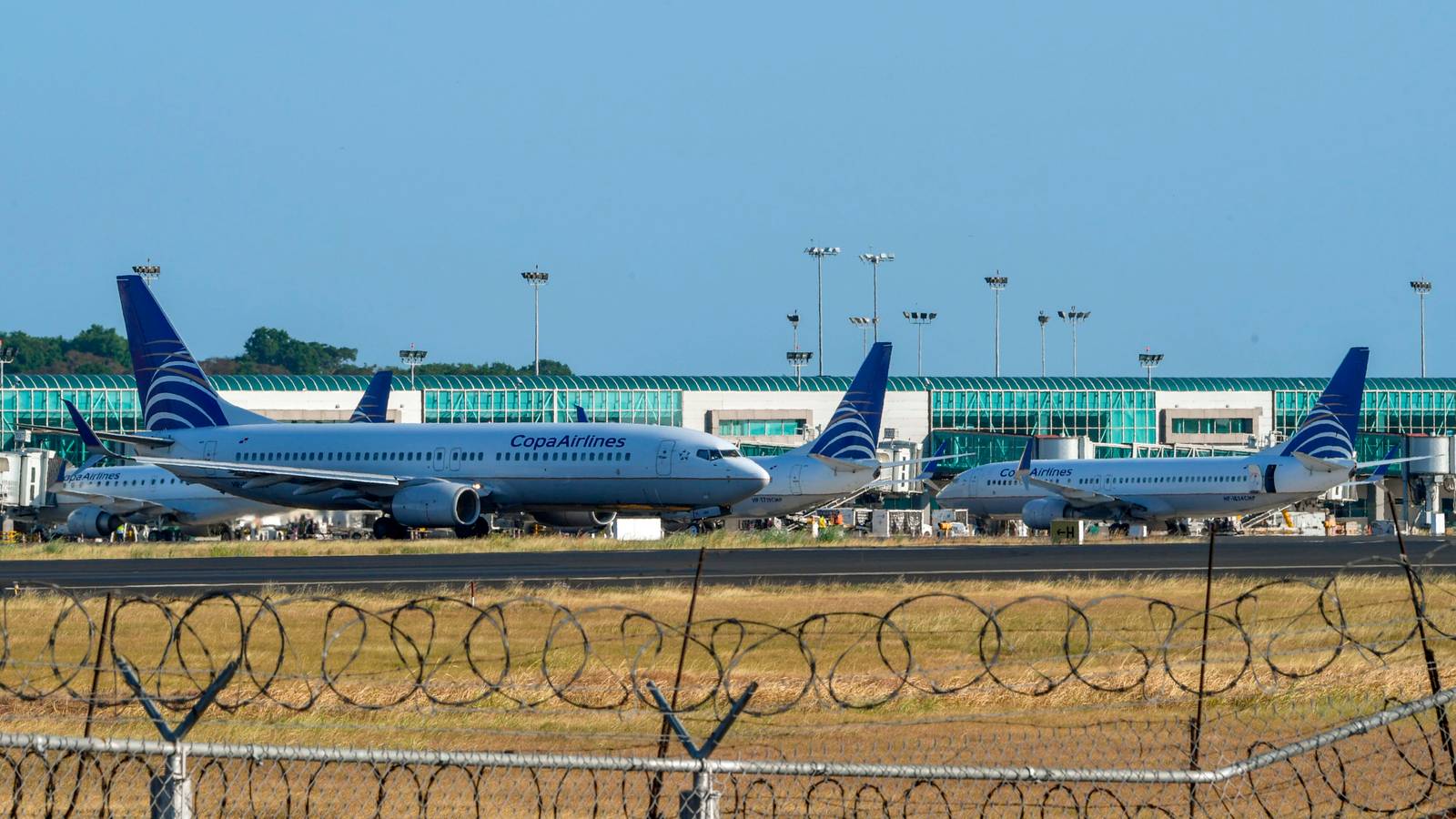 Why Are Copa & United's Liveries So Similar?