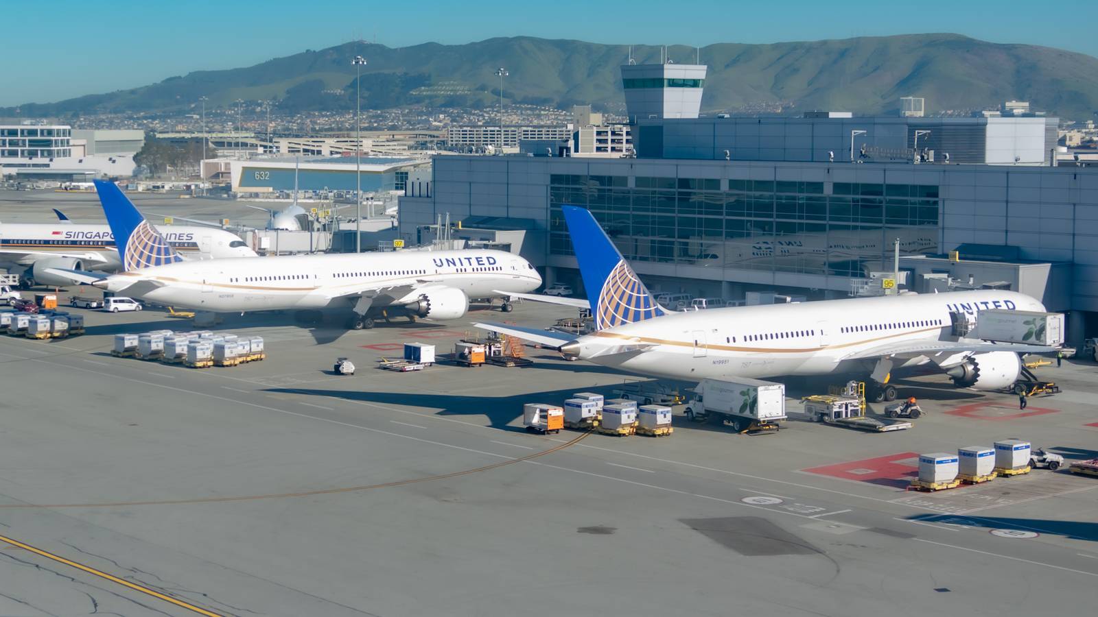 United Airlines Pilot Gives Forever Home To Puppy Abandoned At Airport
