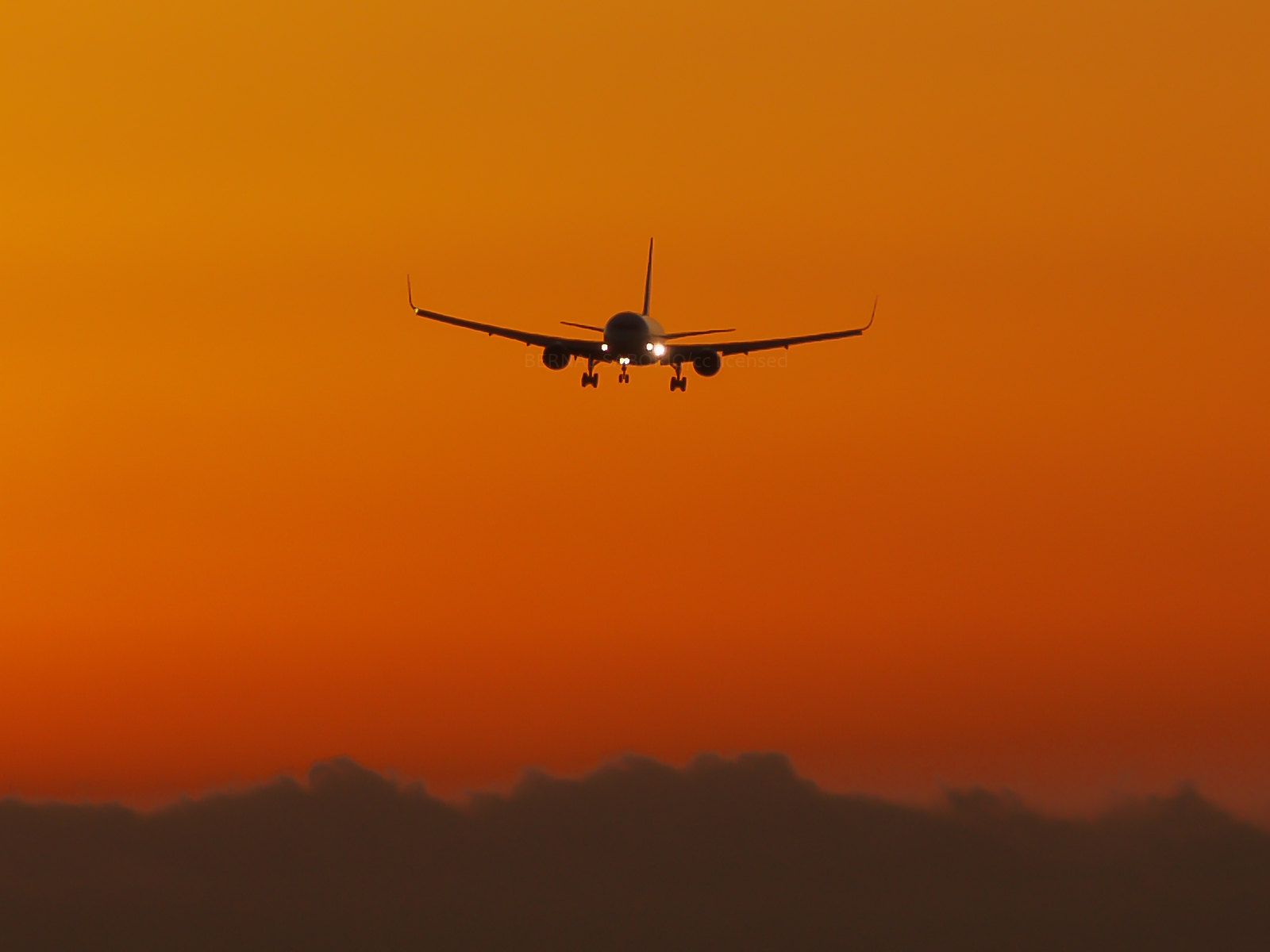 Pilot Medical Certificates: Everything You Need To Know