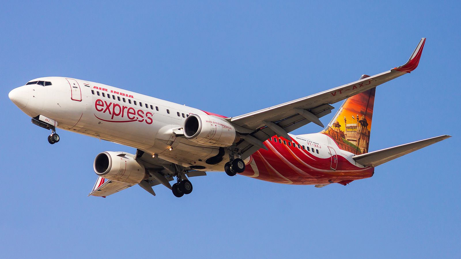Snake Takes A Free Ride To Dubai On An Air India Express Plane