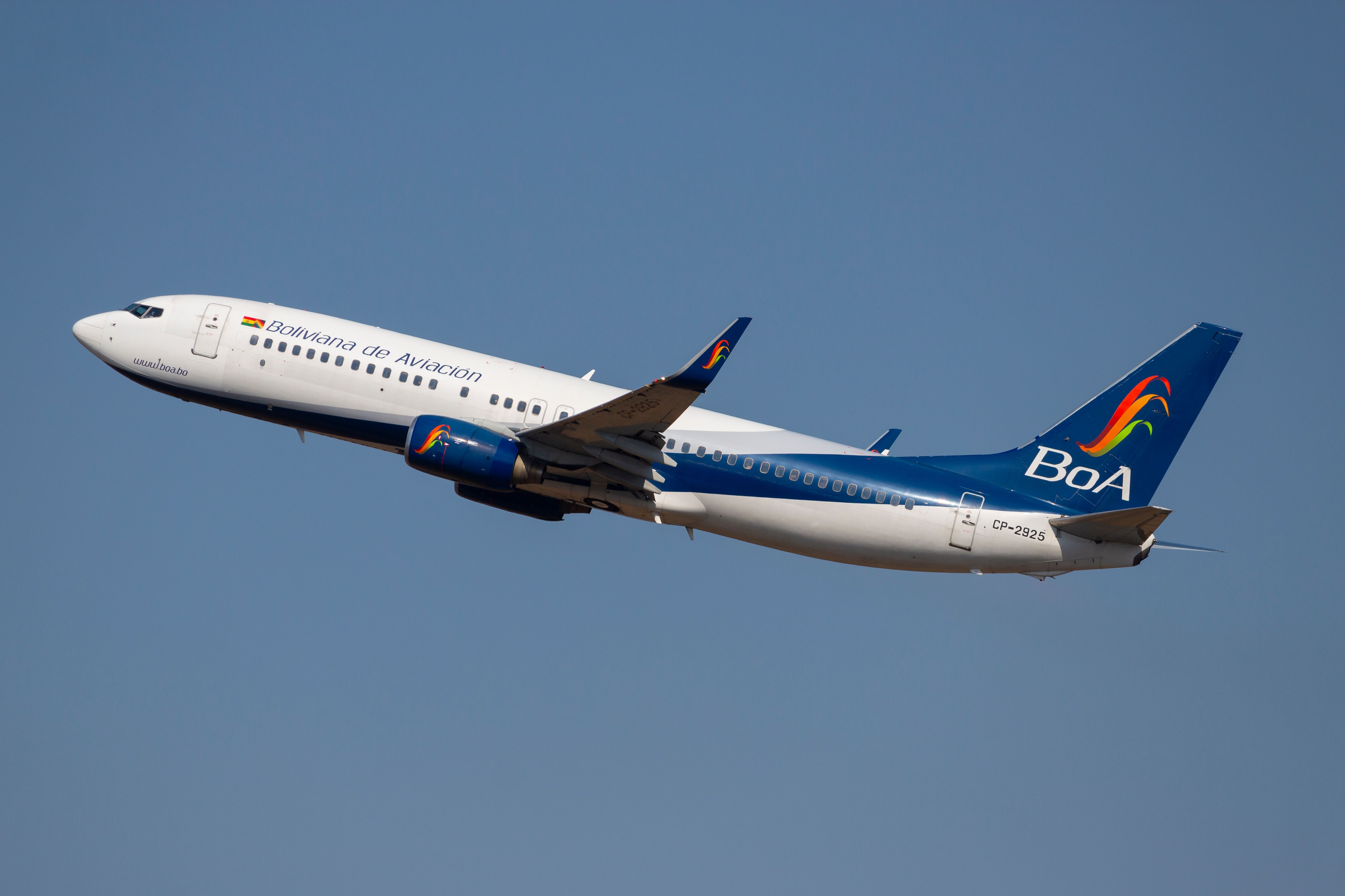 Cat Lost In Care Of Boliviana De Aviacion Becomes National Affair