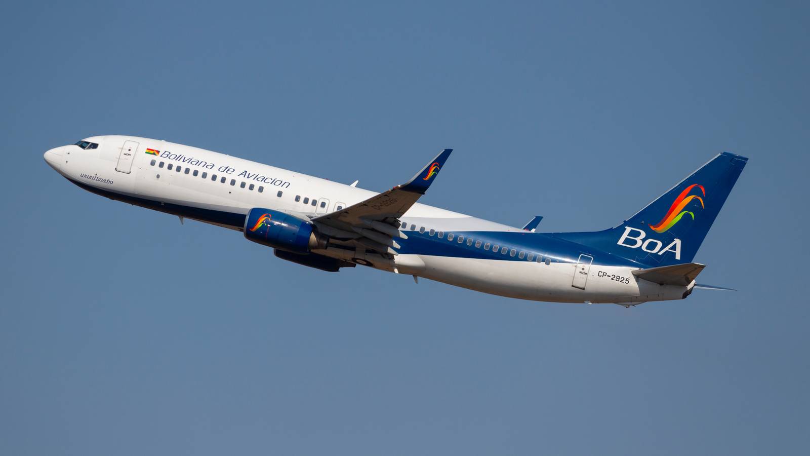 Cat Lost In Care Of Boliviana De Aviacion Becomes National Affair