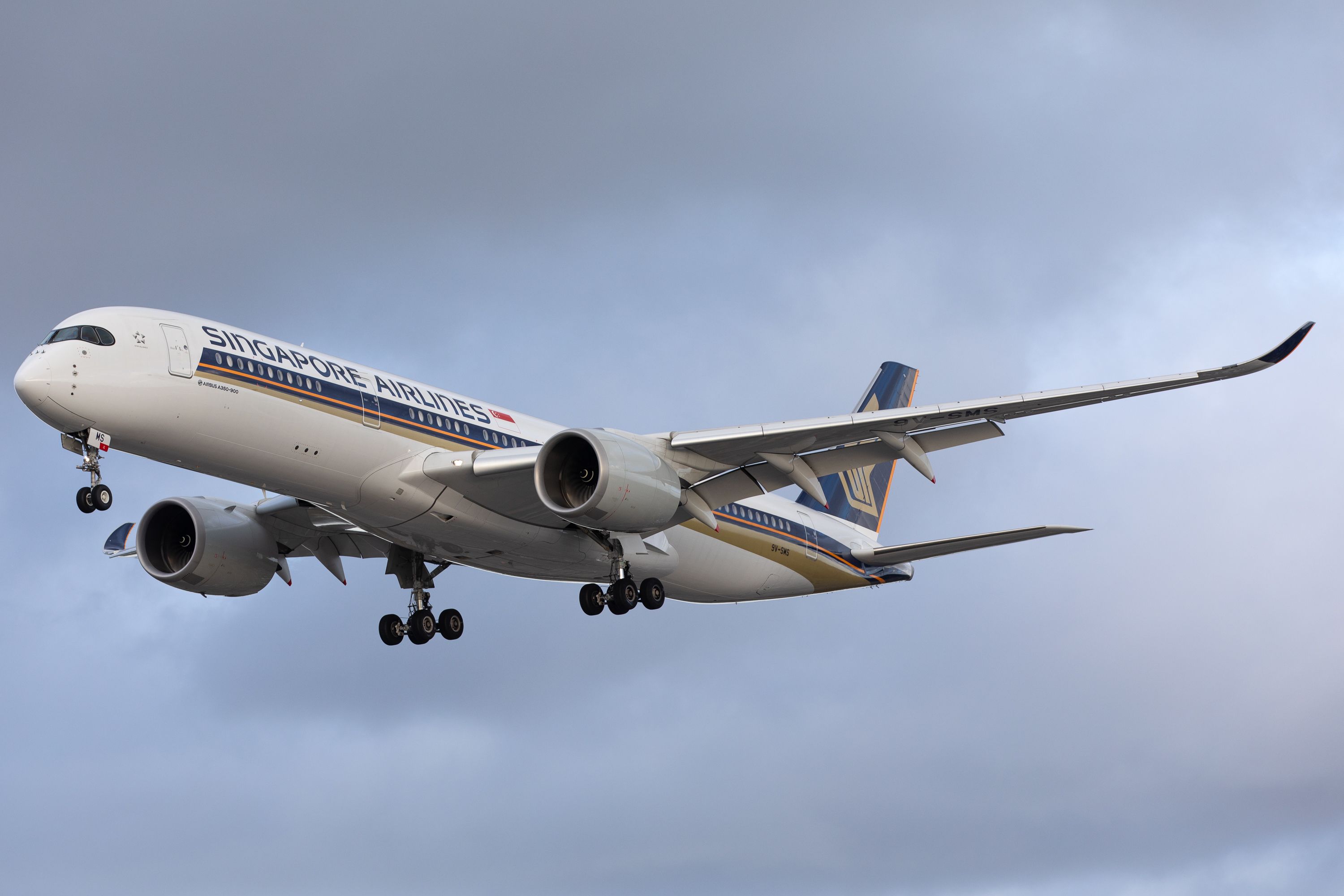 Singapore Airlines Will Ban Emotional Support Animals From April