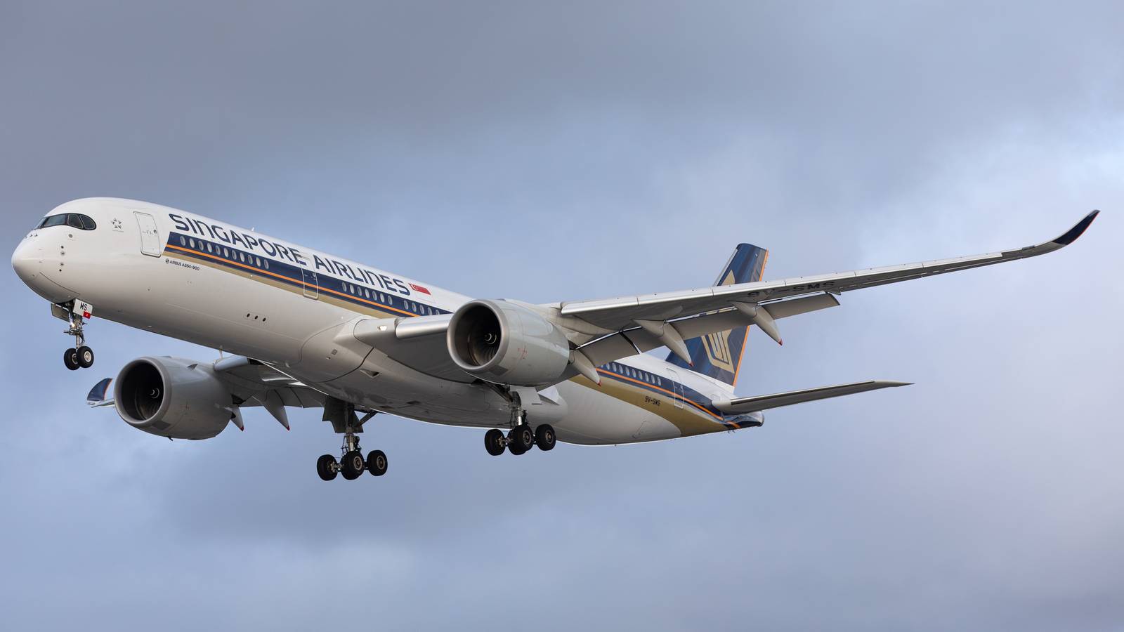 Singapore Airlines Will Ban Emotional Support Animals From April