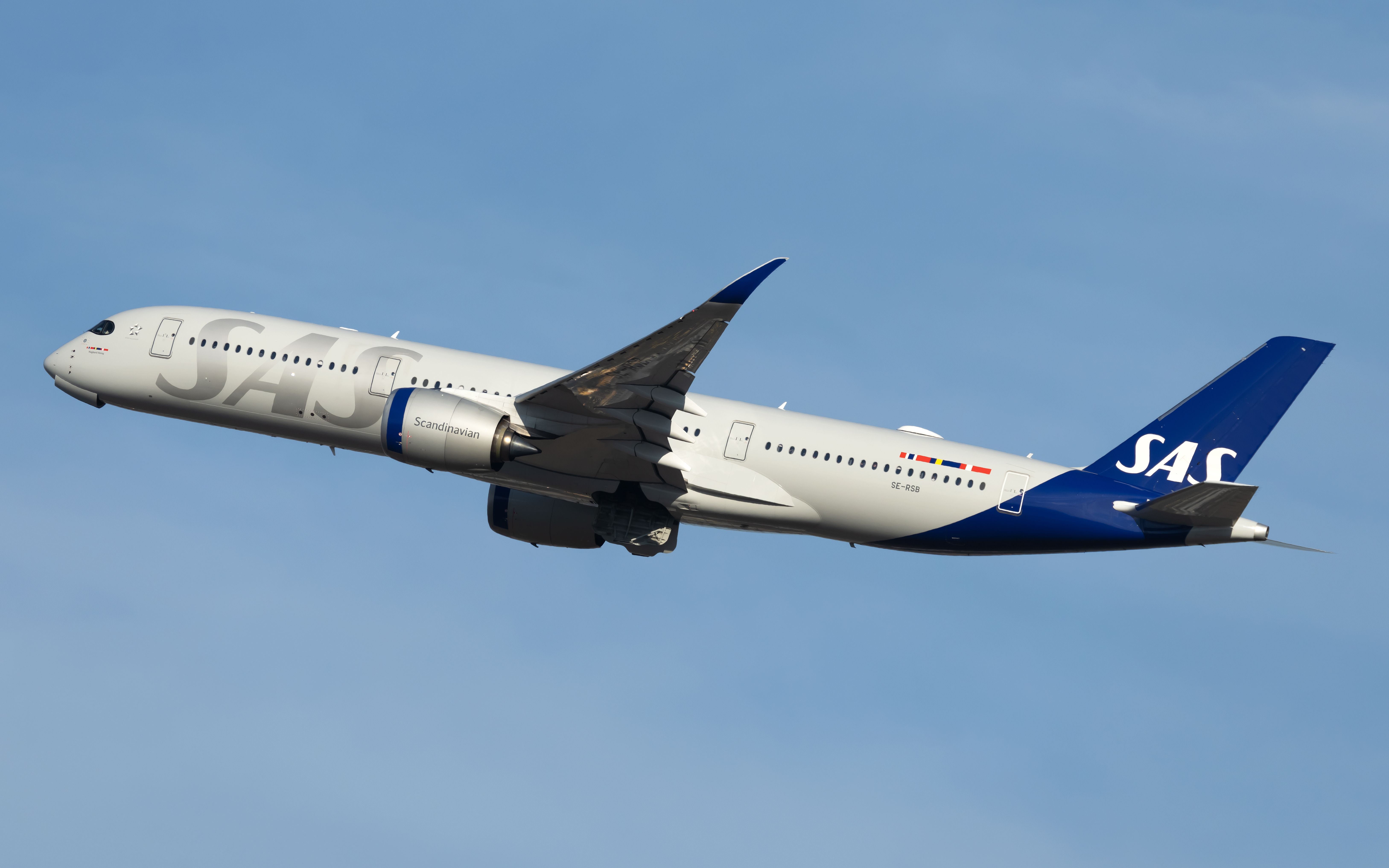 SAS Passengers Able To Access Others' Data After IT Breach