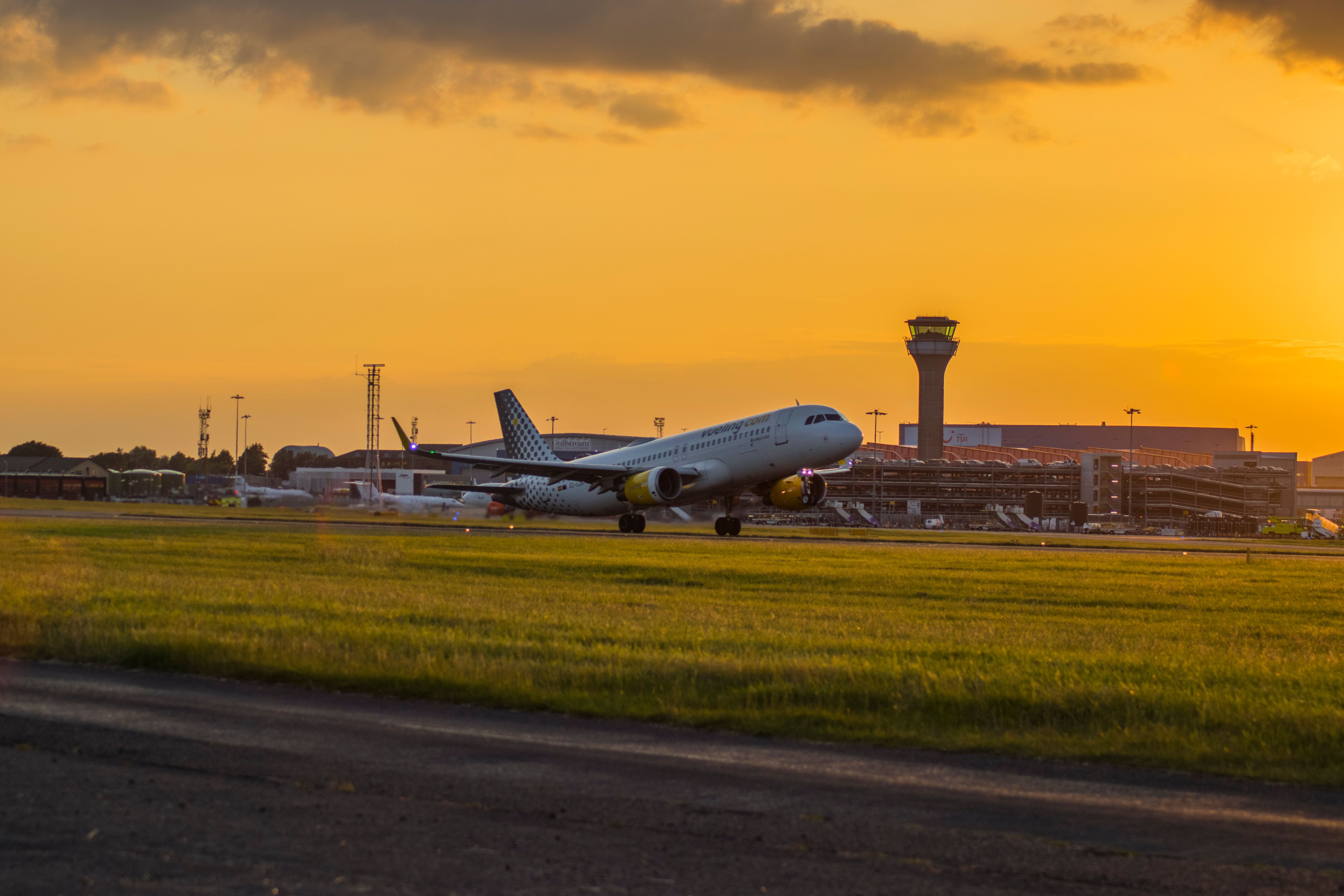 London Luton Airport Launches Teddy Tag Scheme To Reunite Kids With Lost Toys