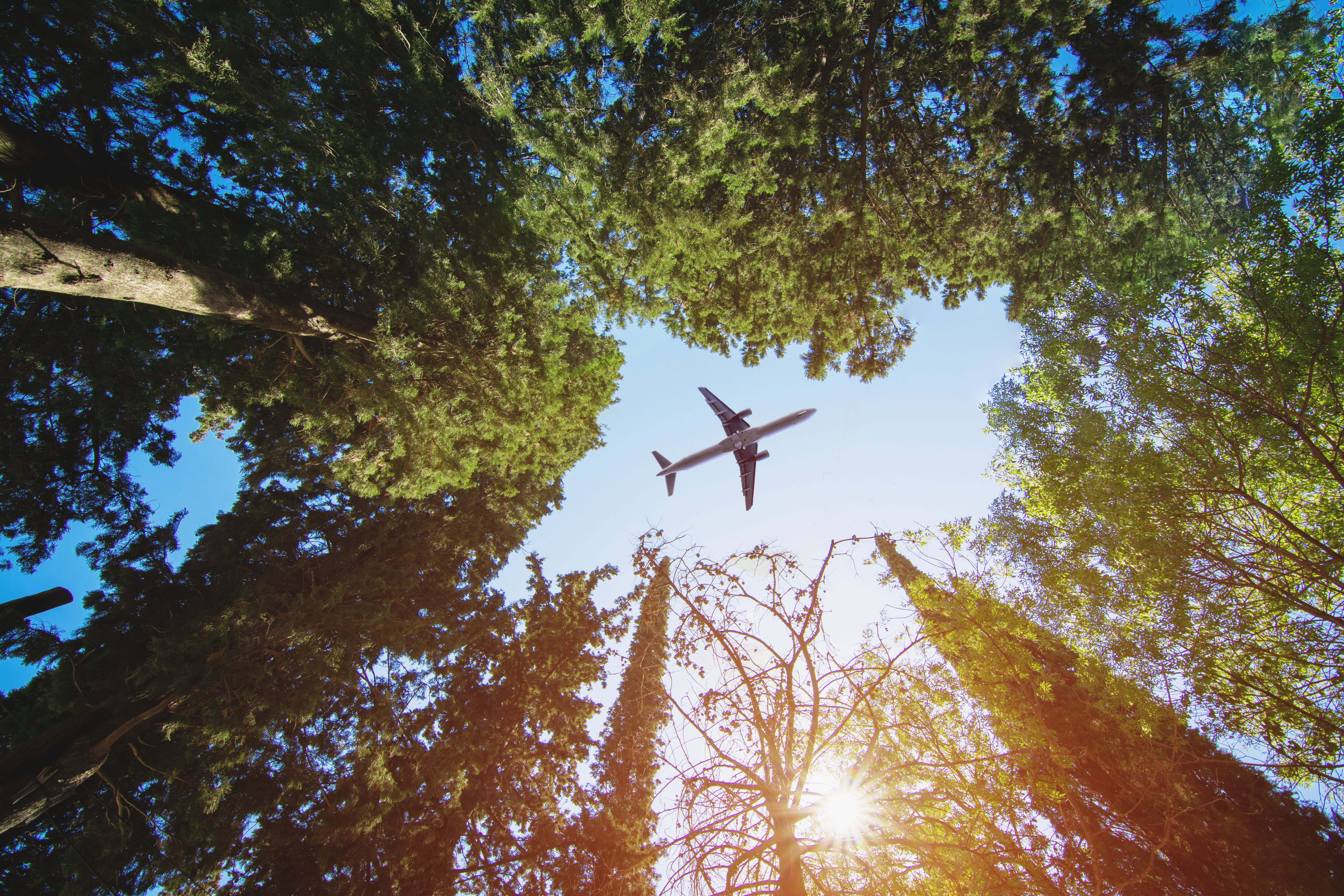 The Top 5 Sustainability Trends From 2022