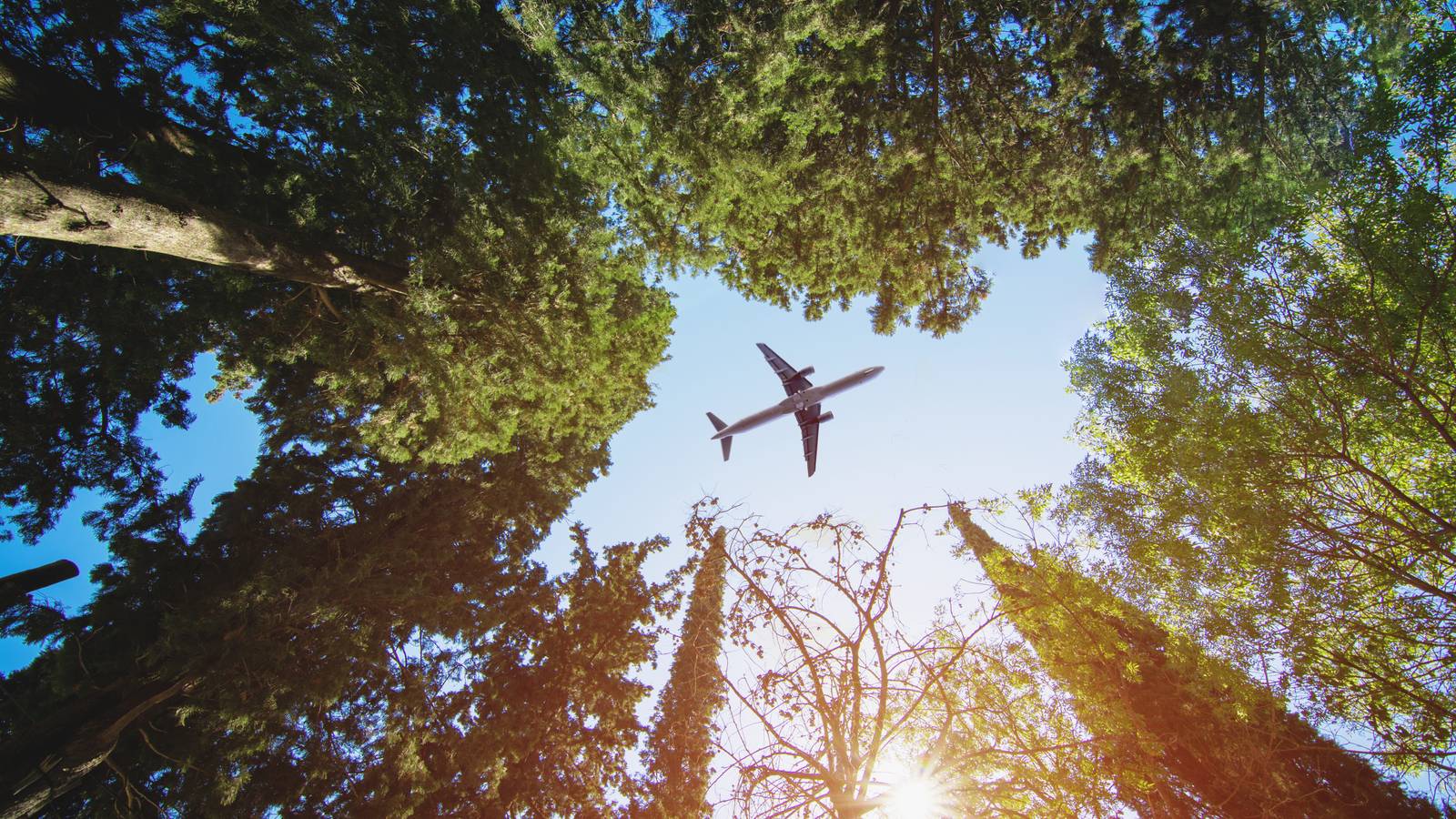 The Top 5 Sustainability Trends From 2022