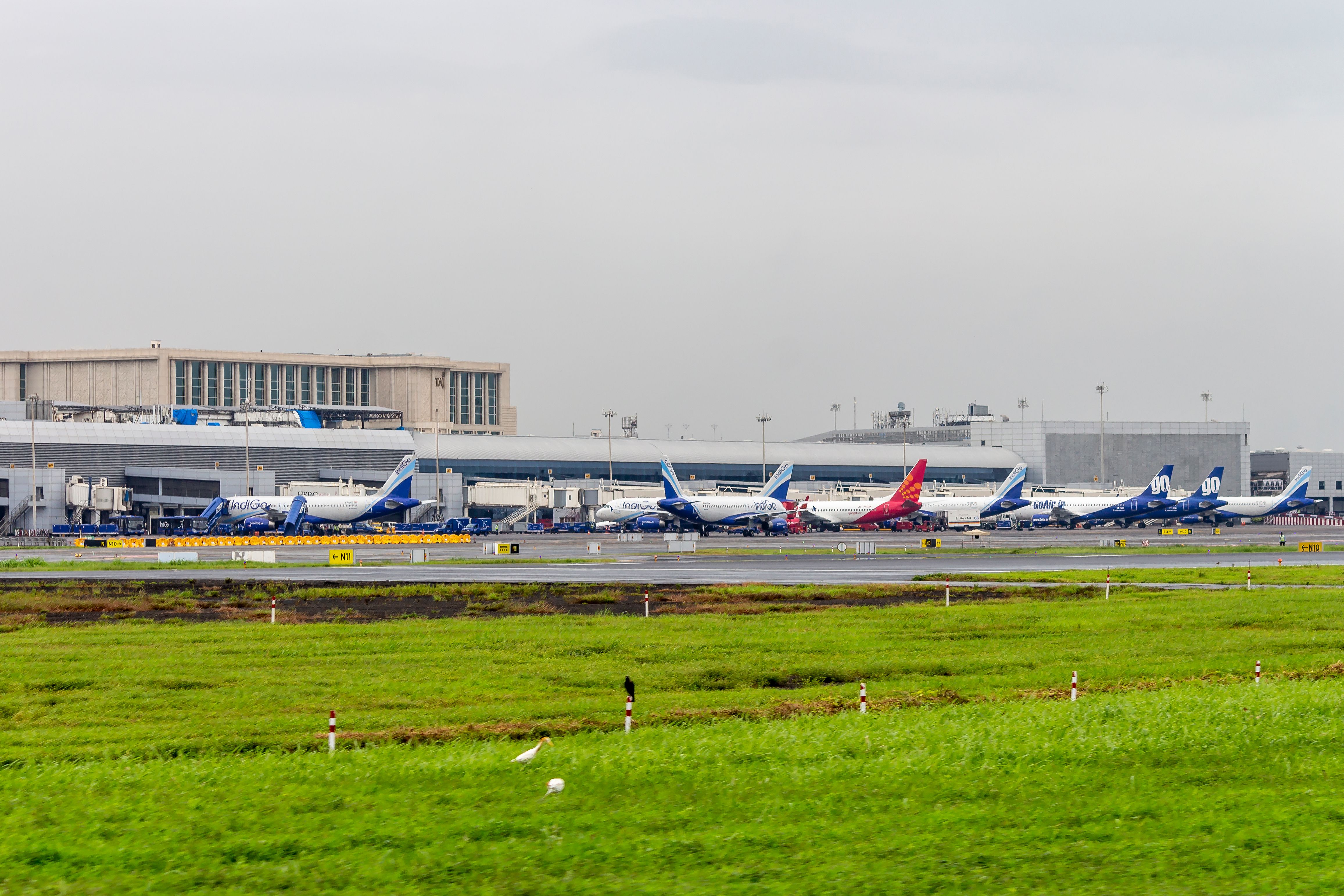 India’s Fleet Size Could Increase At The Rate Of 100 Planes A Year