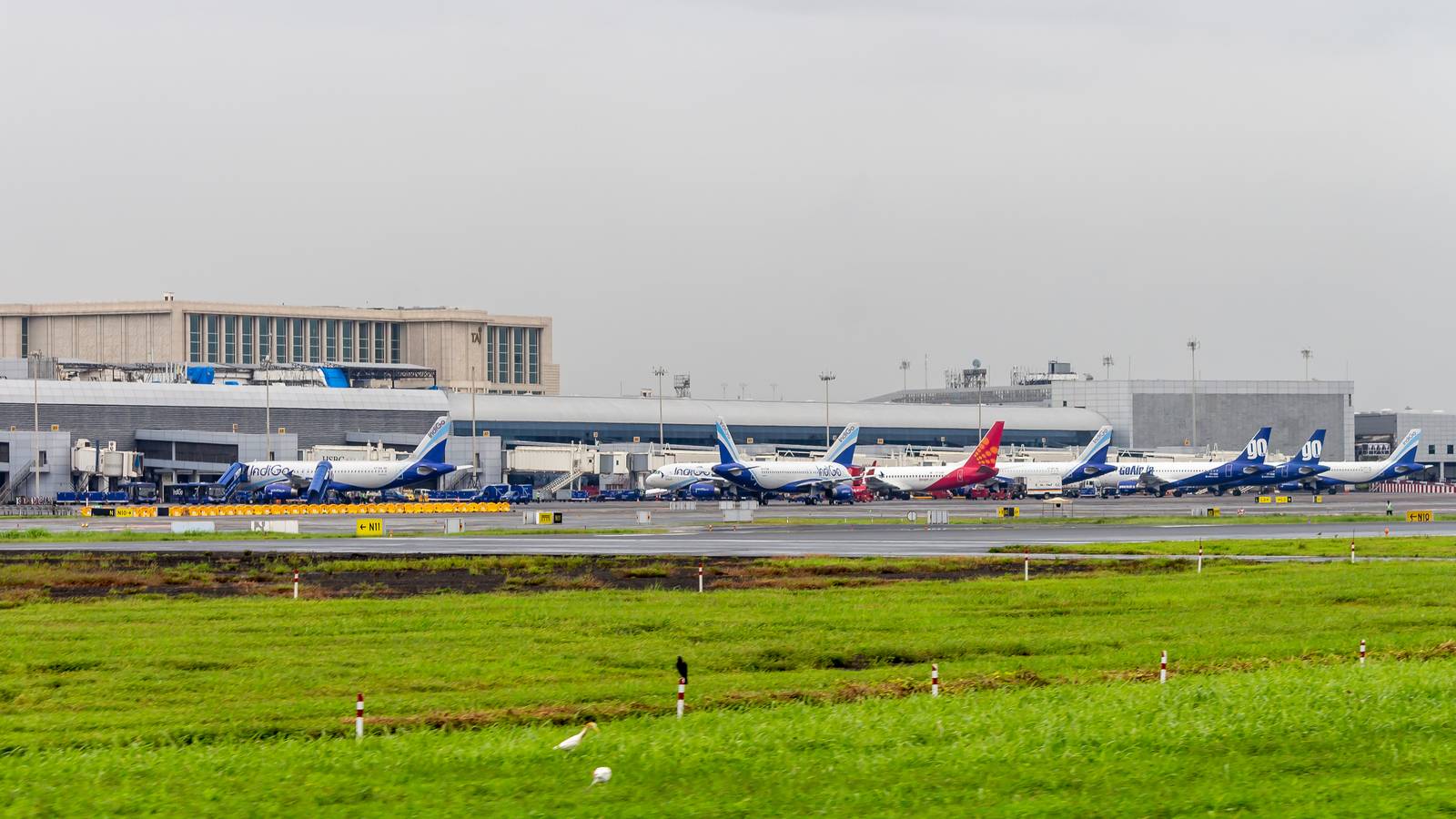 India’s Fleet Size Could Increase At The Rate Of 100 Planes A Year