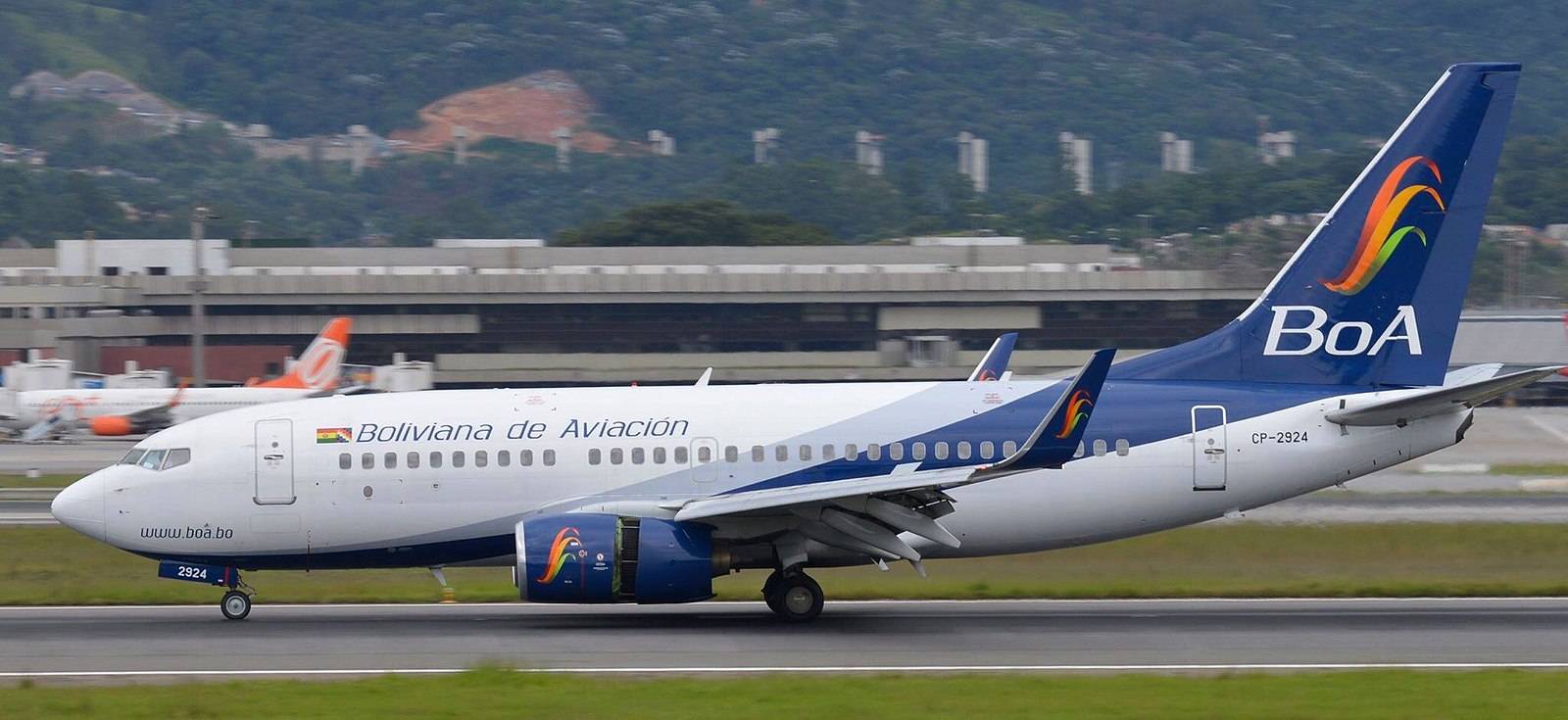 Bolivia Has Called A Cat Whisperer To Find An Airline's Missing Feline
