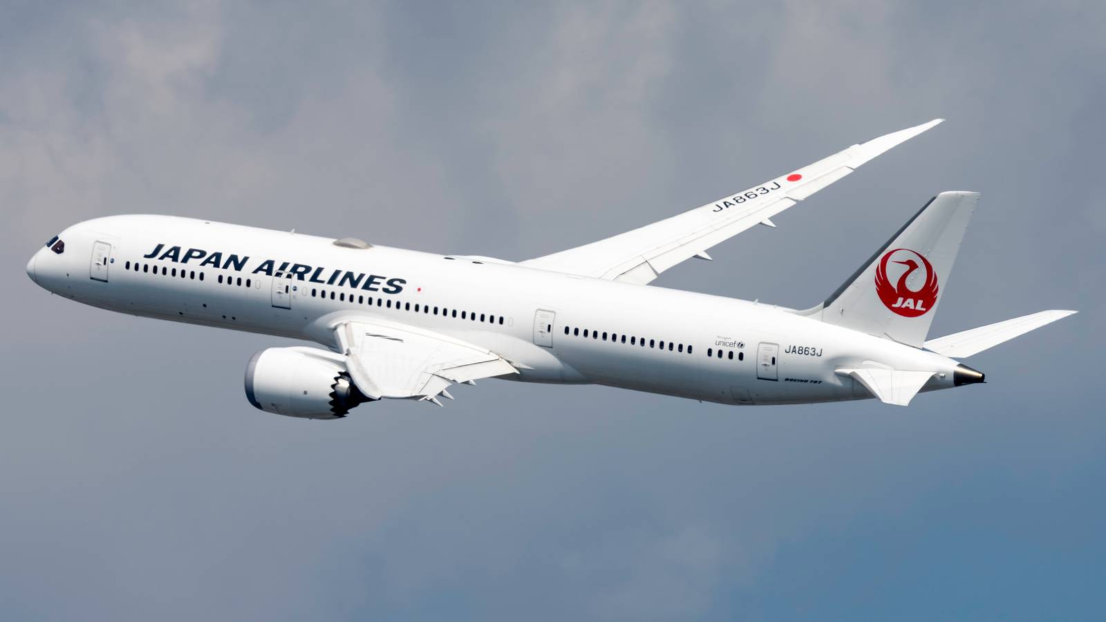 Japan Airlines Serves A Banana As Vegan Meal