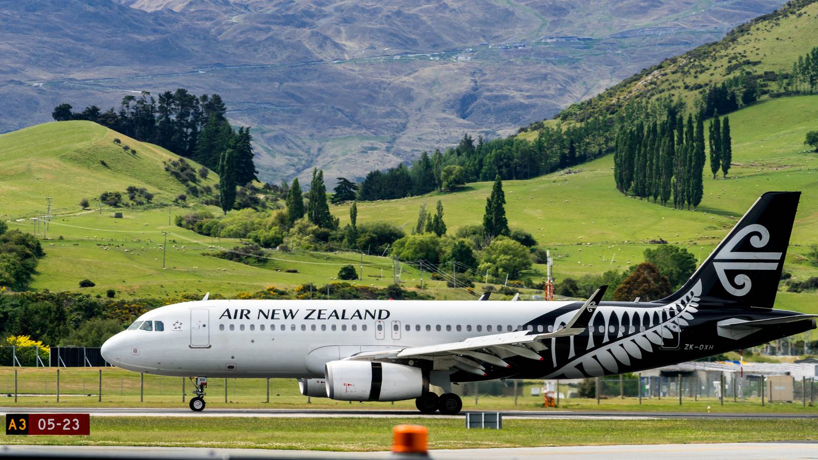 Air New Zealand CEO Spotted Handling Bags